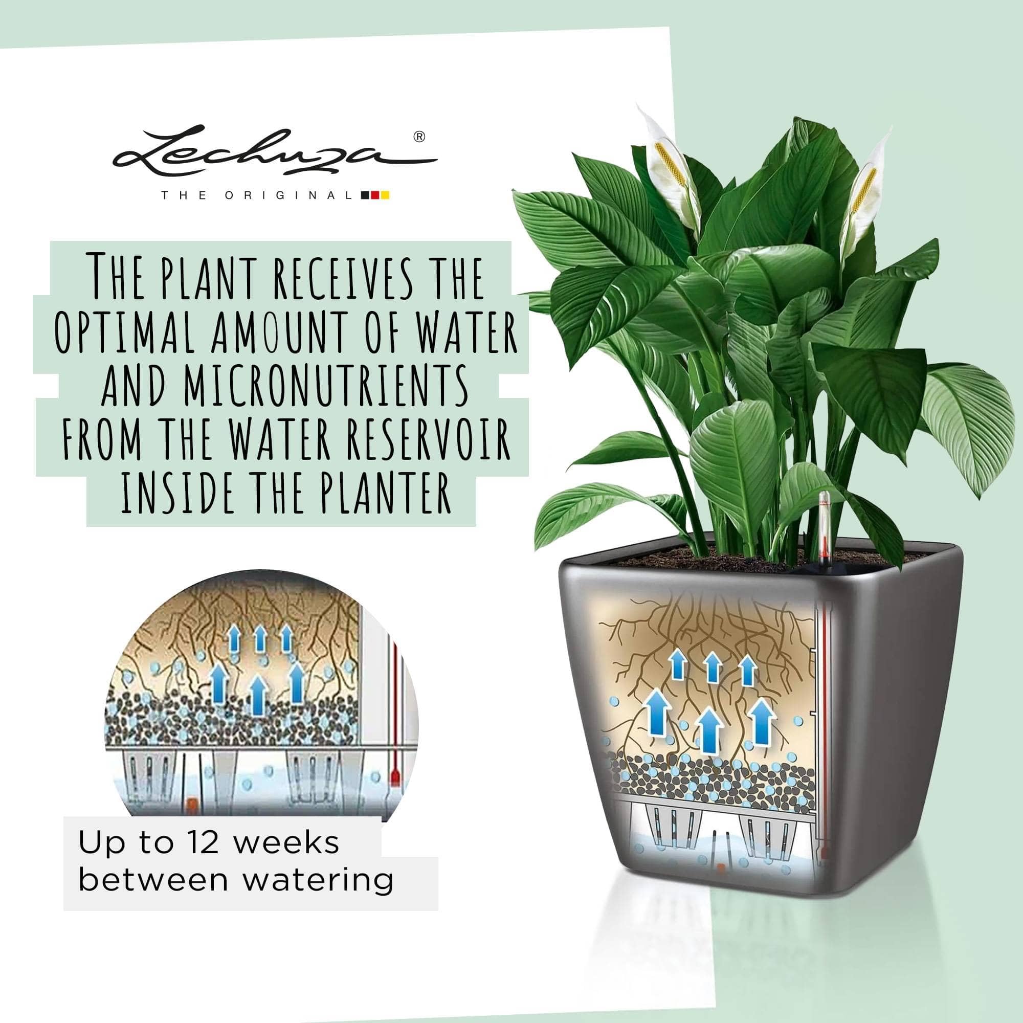 LECHUZA QUADRO LS 50 - Vaso da fiori autoinnaffiante, grande da giardino, per interni ed esterni, con foro di drenaggio e substrato per piante, Bianco lucido