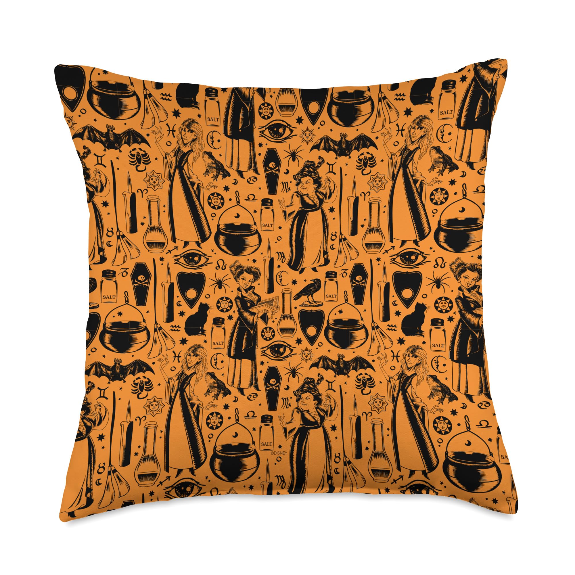 DisneyHocus Pocus Sanderson Sister Print Throw Pillow, 18x18, Multicolor