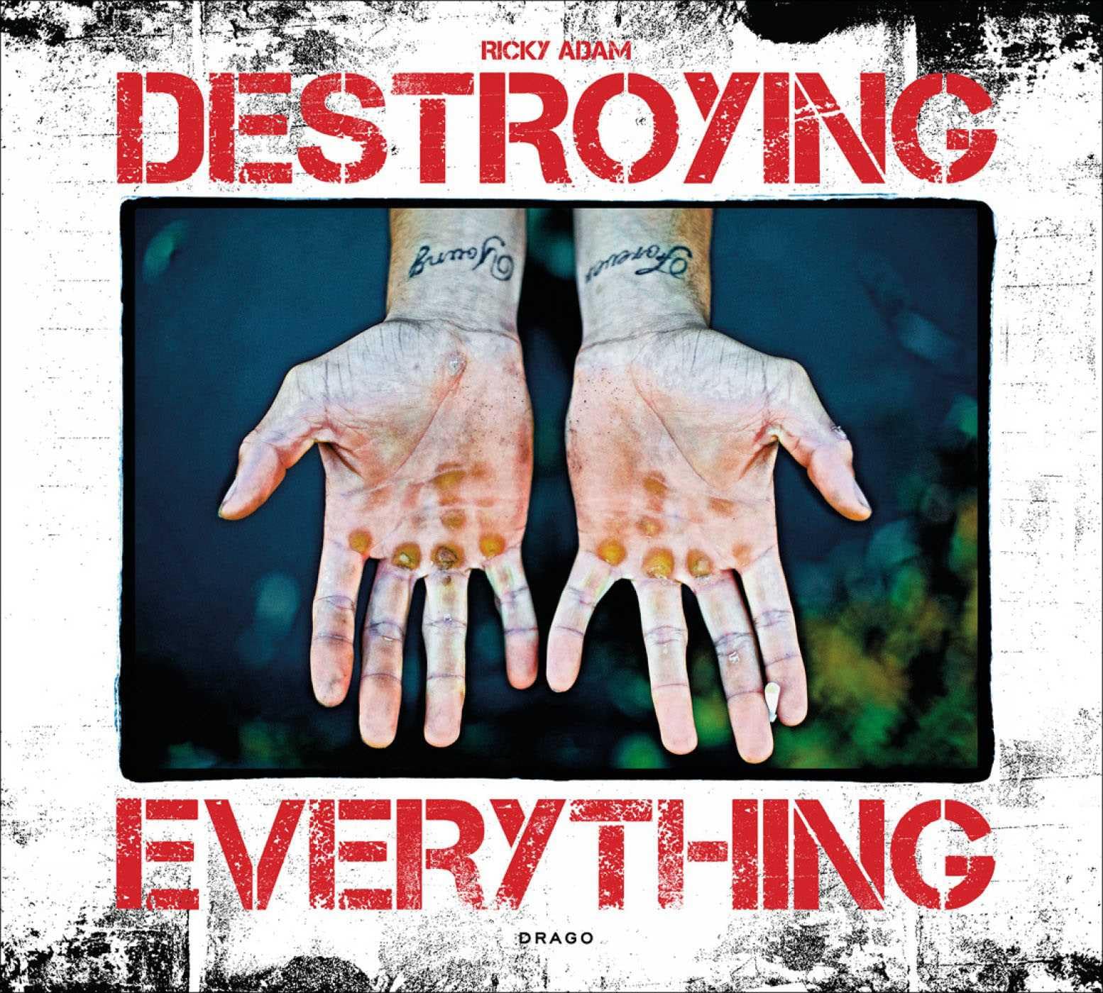 Ricky Adam Destroying Everything album photographie urbaine