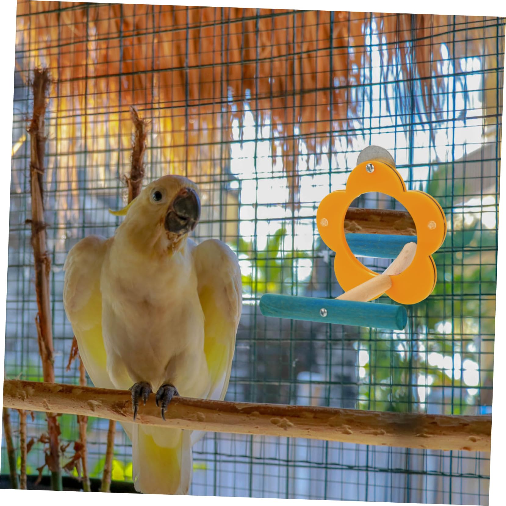VANZACK 4stücke Vogelspielzeug Mit Spiegel Für Papageien Interaktives Trainingsspielzeug Mit Ständer Beschäftigung Und Dekoration Im Vogelkäfig
