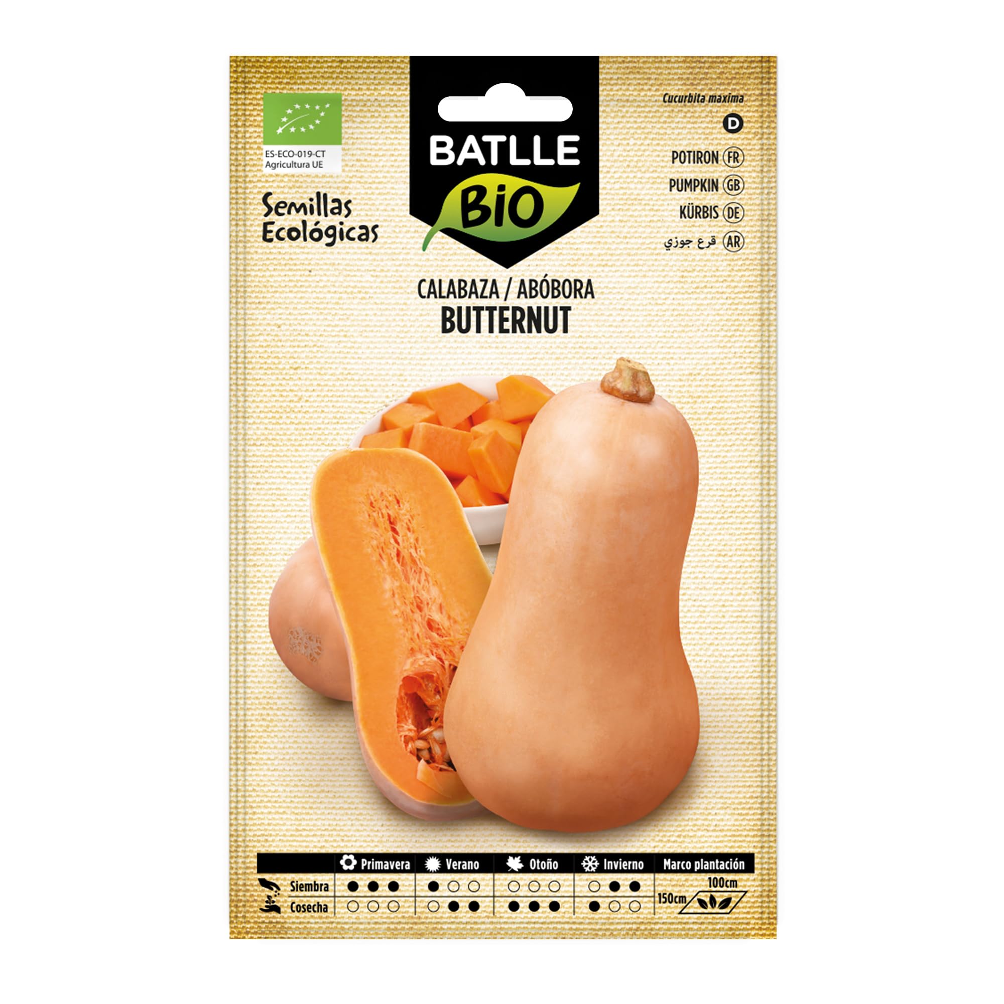 Bio Samen - Kürbis Butternut (8-20 Samen - Bio)