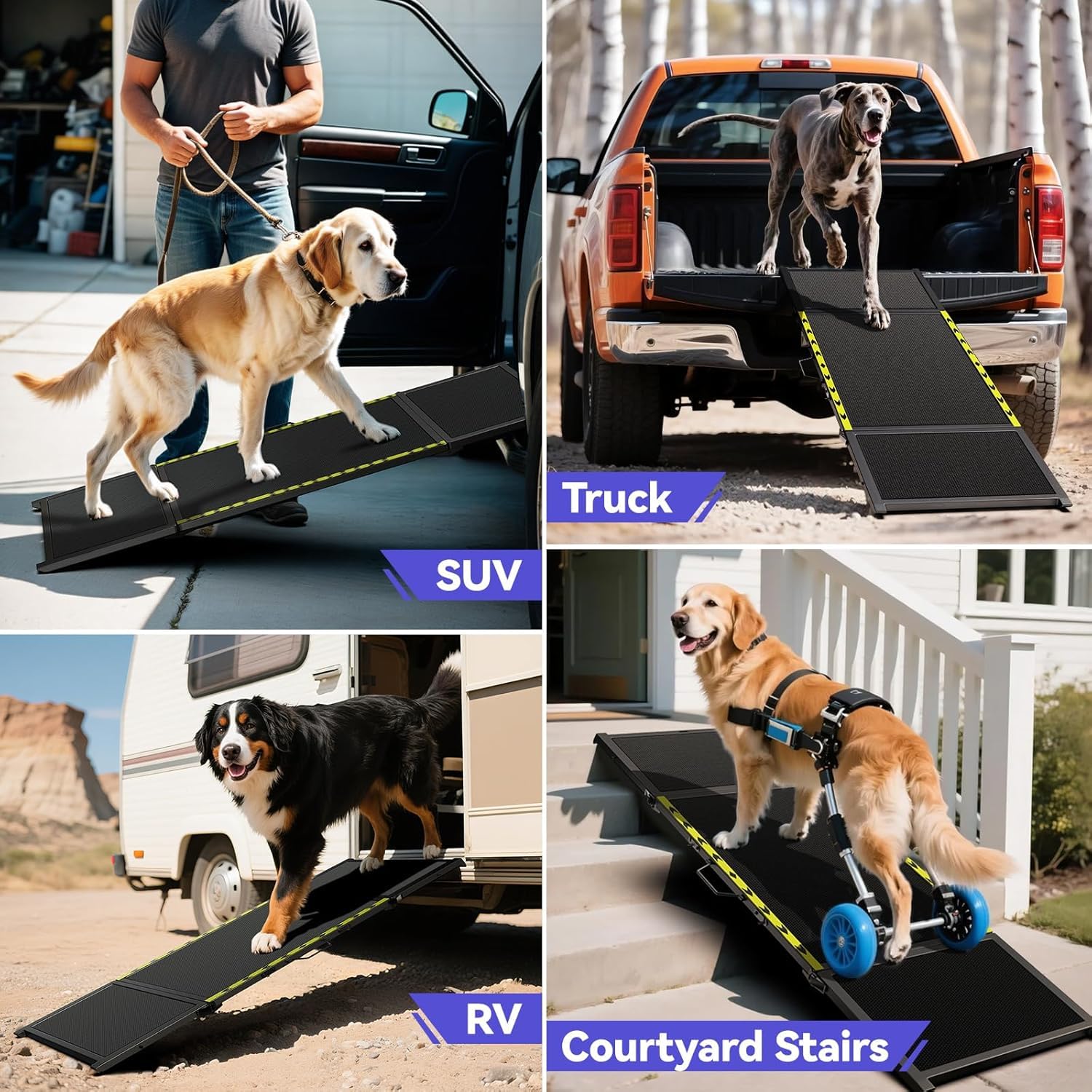 Rampe pour chien de 170,7 cm de long et 50,8 cm de large pour voiture – Rampe portable extra large pour chiens de taille moyenne et grande avec surface de tapis antidérapante, escalier pour voiture