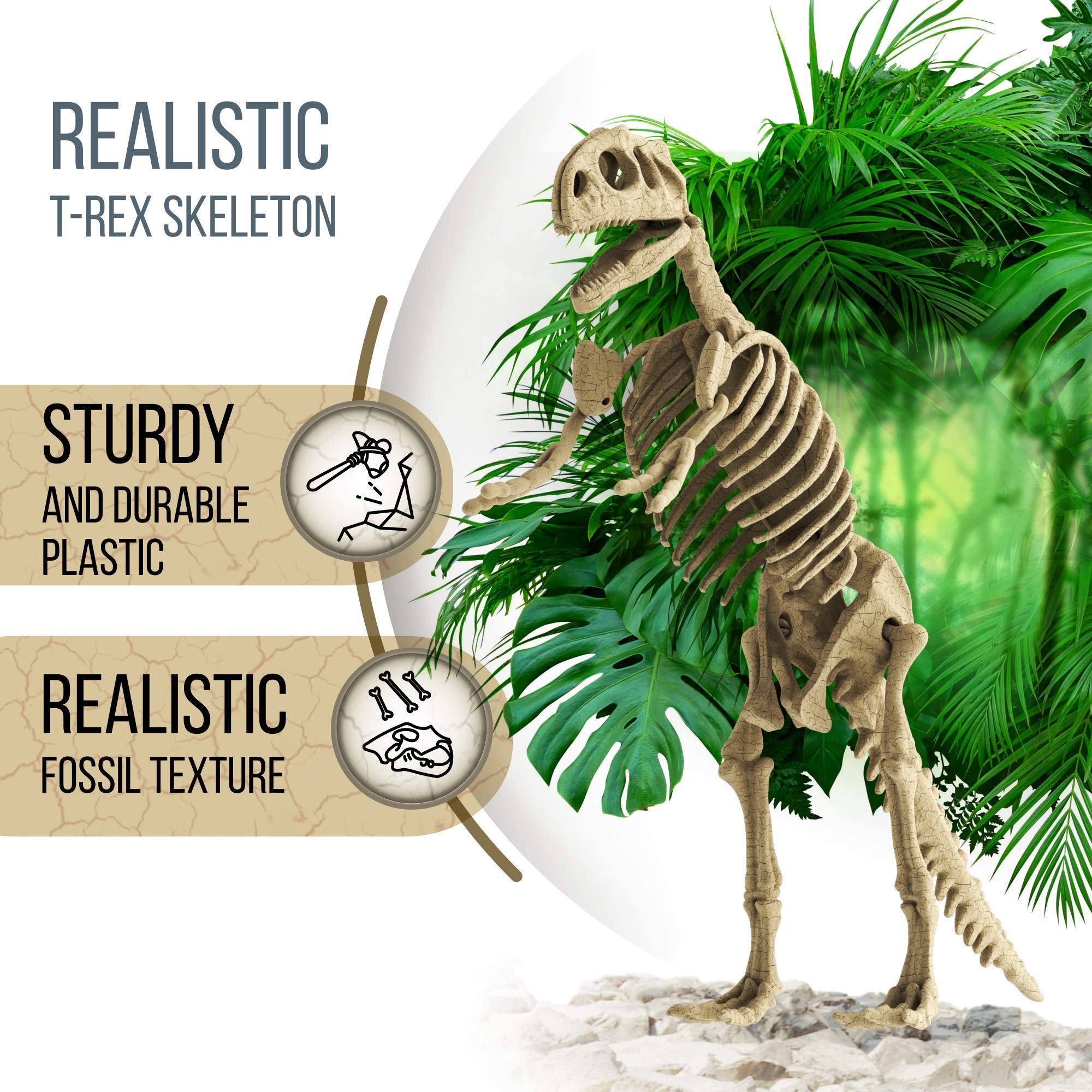 Buy DIY Dinosaur Excavation Kit Dino Fossil Kit Dig Up Dinosaurs