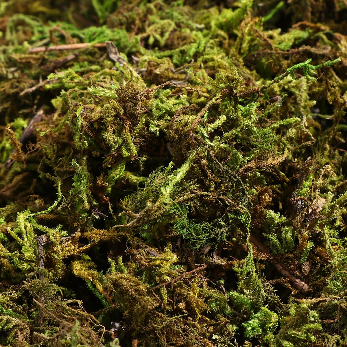 Gatuida Artificial Fake Lichen: Simulation Decorative Fake Bulk for Patio Decoration (60g), Green, 13.00X9.00X4.50CM - Image 4