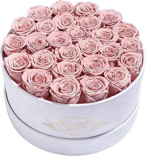 27 Flowers in a Luxury Suede Box, Birthday Gifts for Women, Preserved Flowers, Mothers Day Roses Gift for Mom, Dusty Rose