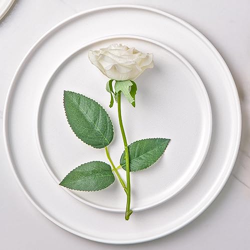 Miniatura 3 de AmorArc Juego de 4 platos de cerámica para ensalada, juego de 4 platos reactivos de esmalte mate de 8.0 pulgadas, postre, ensalada, aperitivo, plato