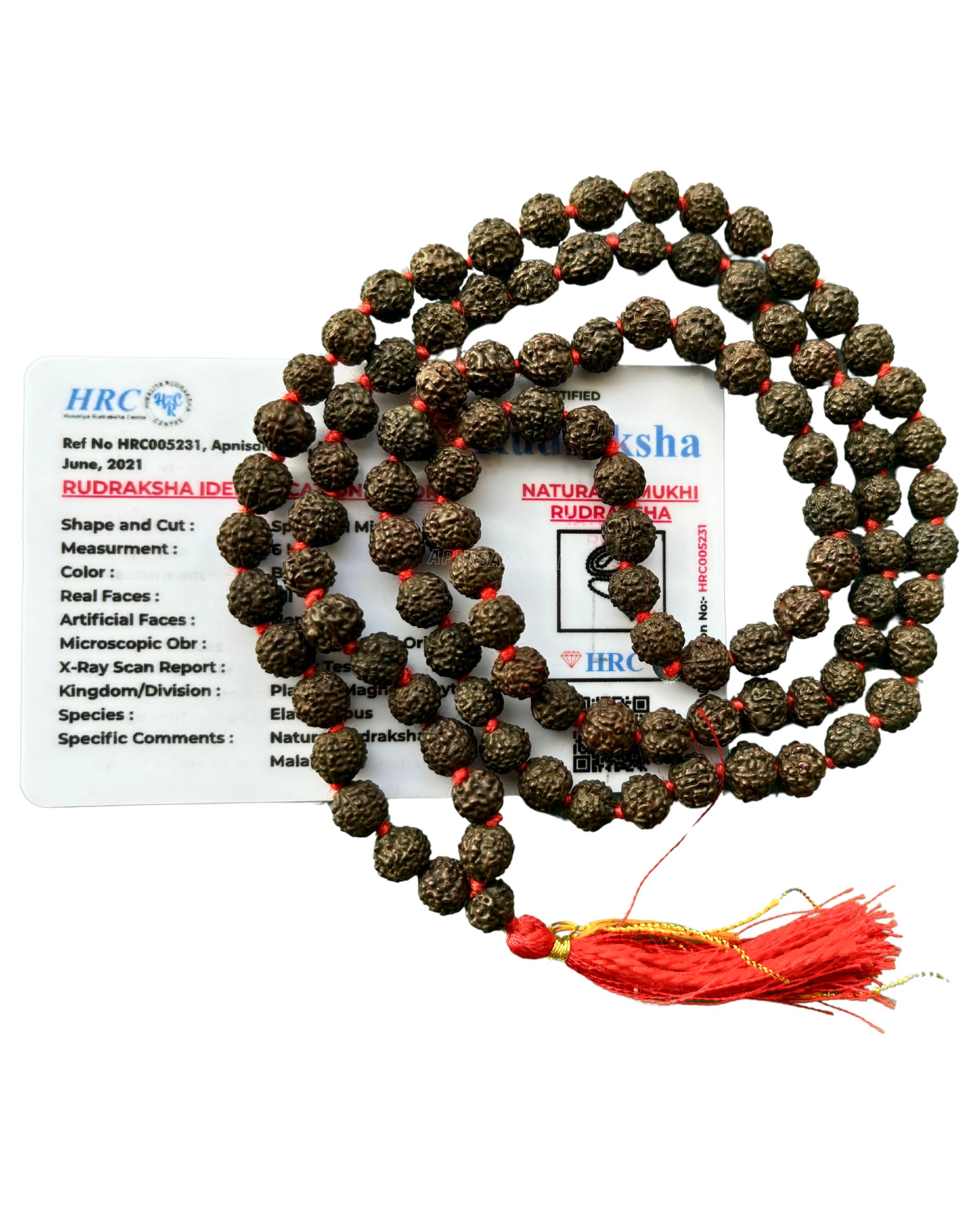 Apnisanskriti 5 Mukhi Black Rudraksha Mala (108+1 Beads, Lab Certified) Natural Black Rudraksha Beads (6mm) (B0D1PCYKD3) Amazon Price History, Amazon Price Tracker