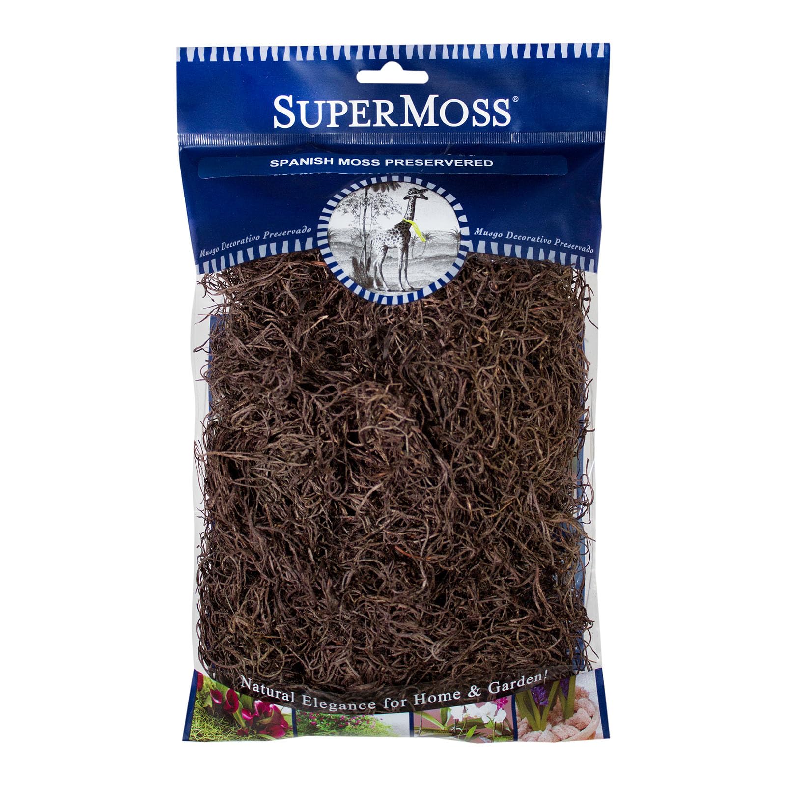 SuperMoss Spanish Preserved Swirly Moss, Coffee-image-41