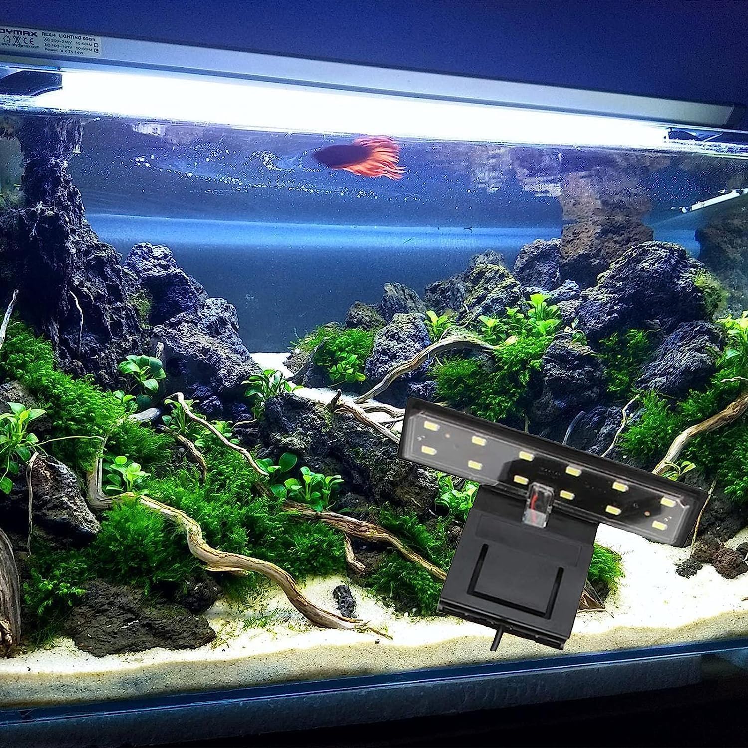View 6