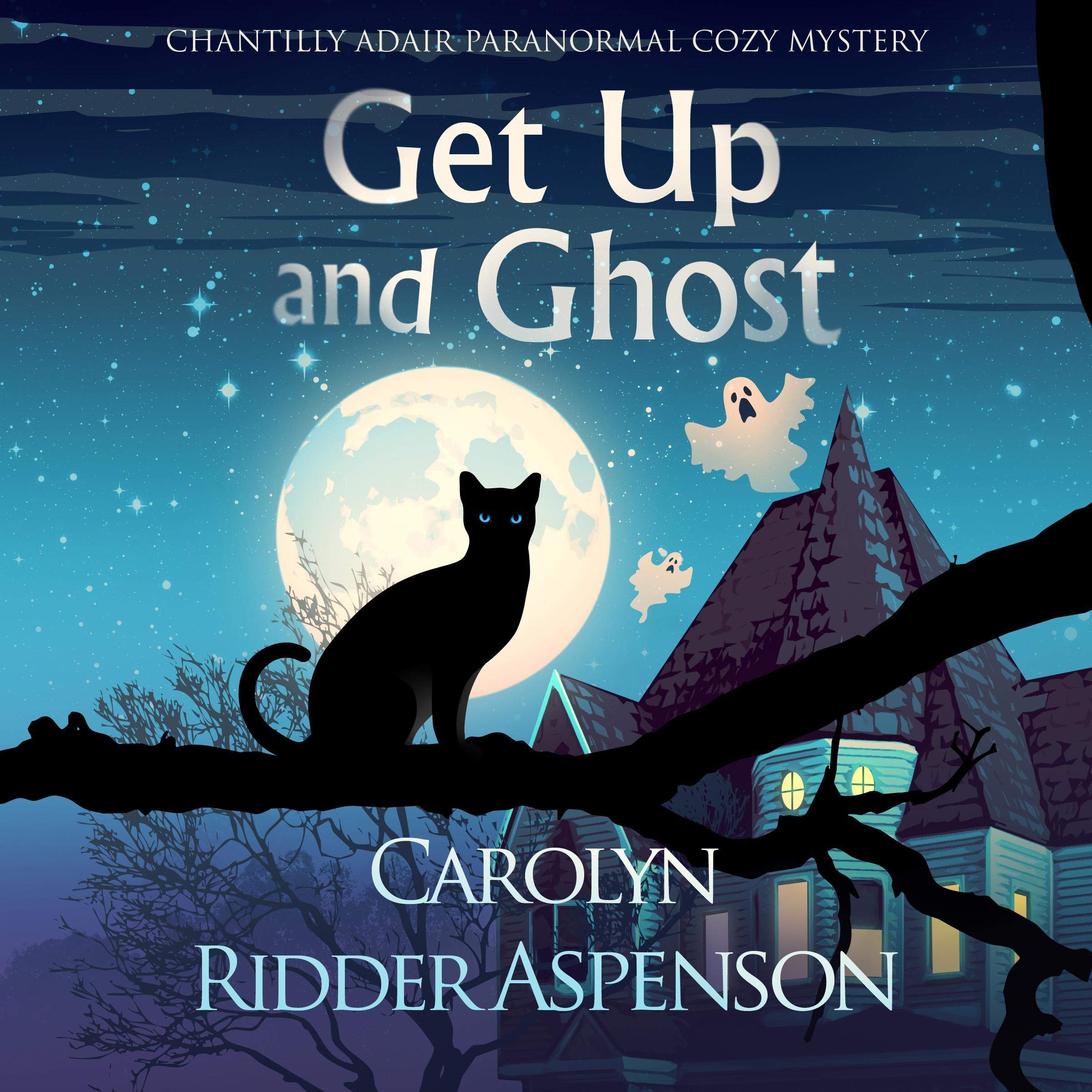 Cover art for Get Up and Ghost: A Chantilly Adair Psychic Medium Cozy Mystery