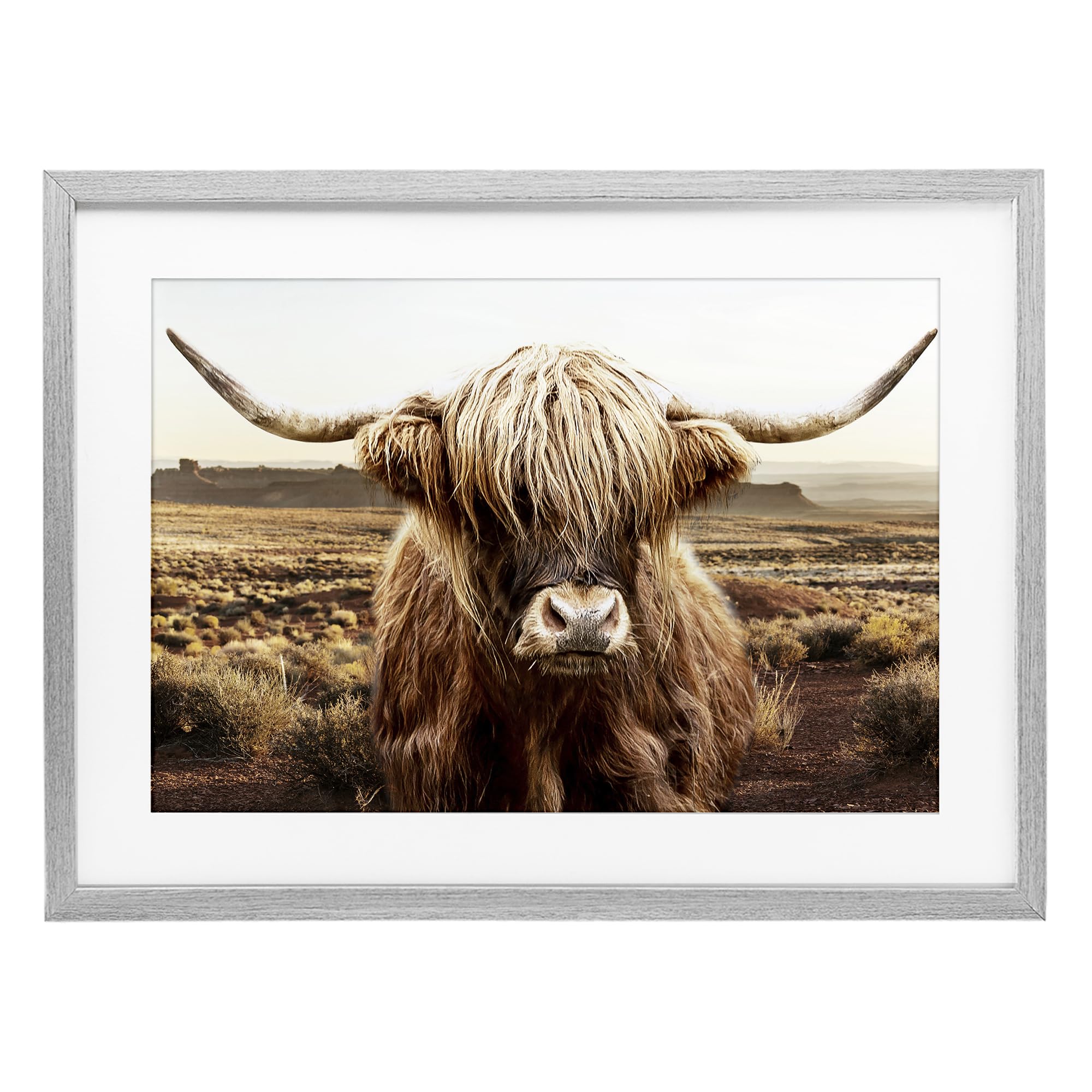 Stupell Industries Farmhouse Gray (Textured) Rugged Highland Cattle Portrait, 17 X 23 Inch Framed Print Under Glass