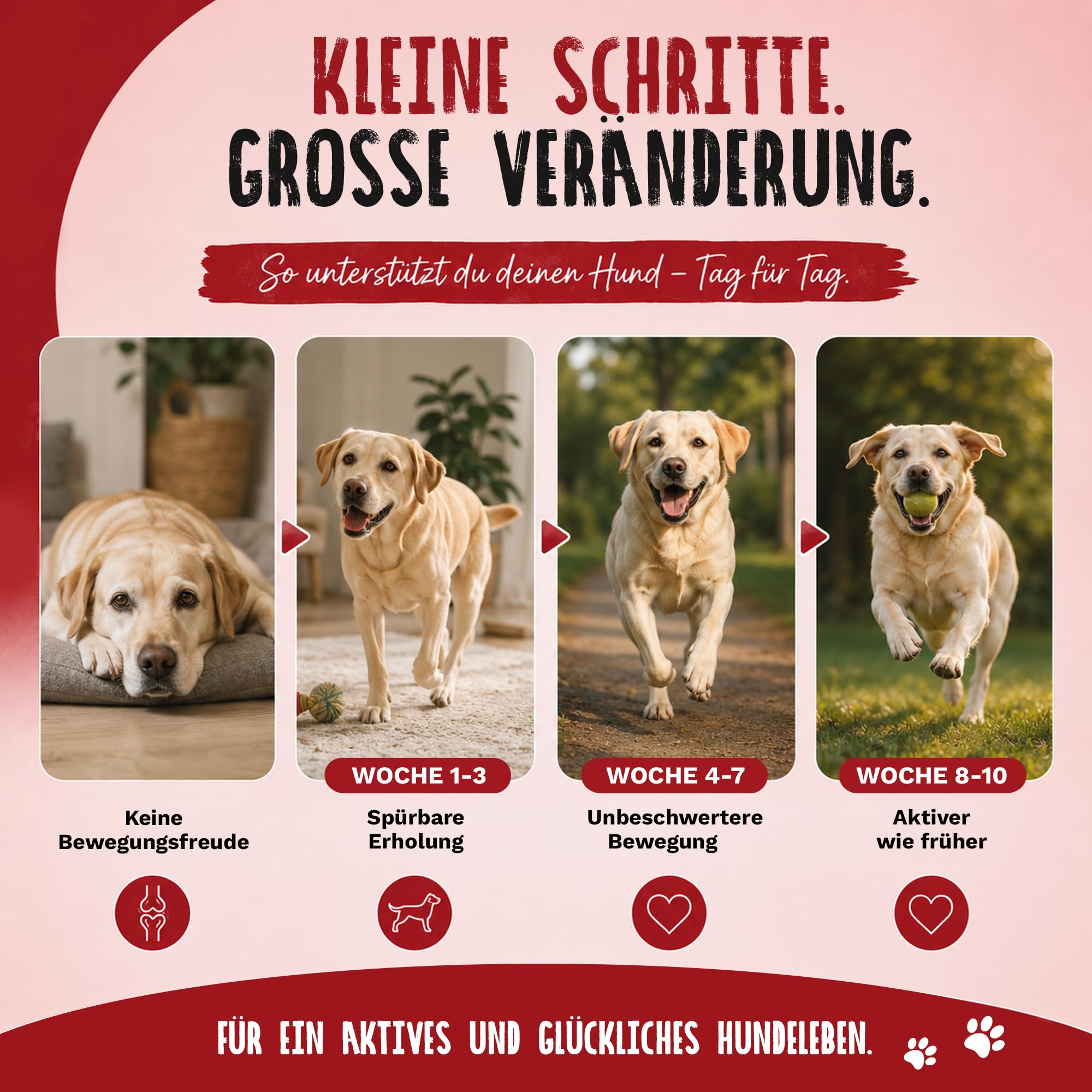 TIERLIEBHABER Gelenk Drops Gelenktabletten Hund – Grünlippmuschel Hund Drops tierärztlich entwickelt – Hunde Gelenktabletten zum Gelenk- & Knochenschutz für Hunde mit Teufekskralle, MSM & Kollagen