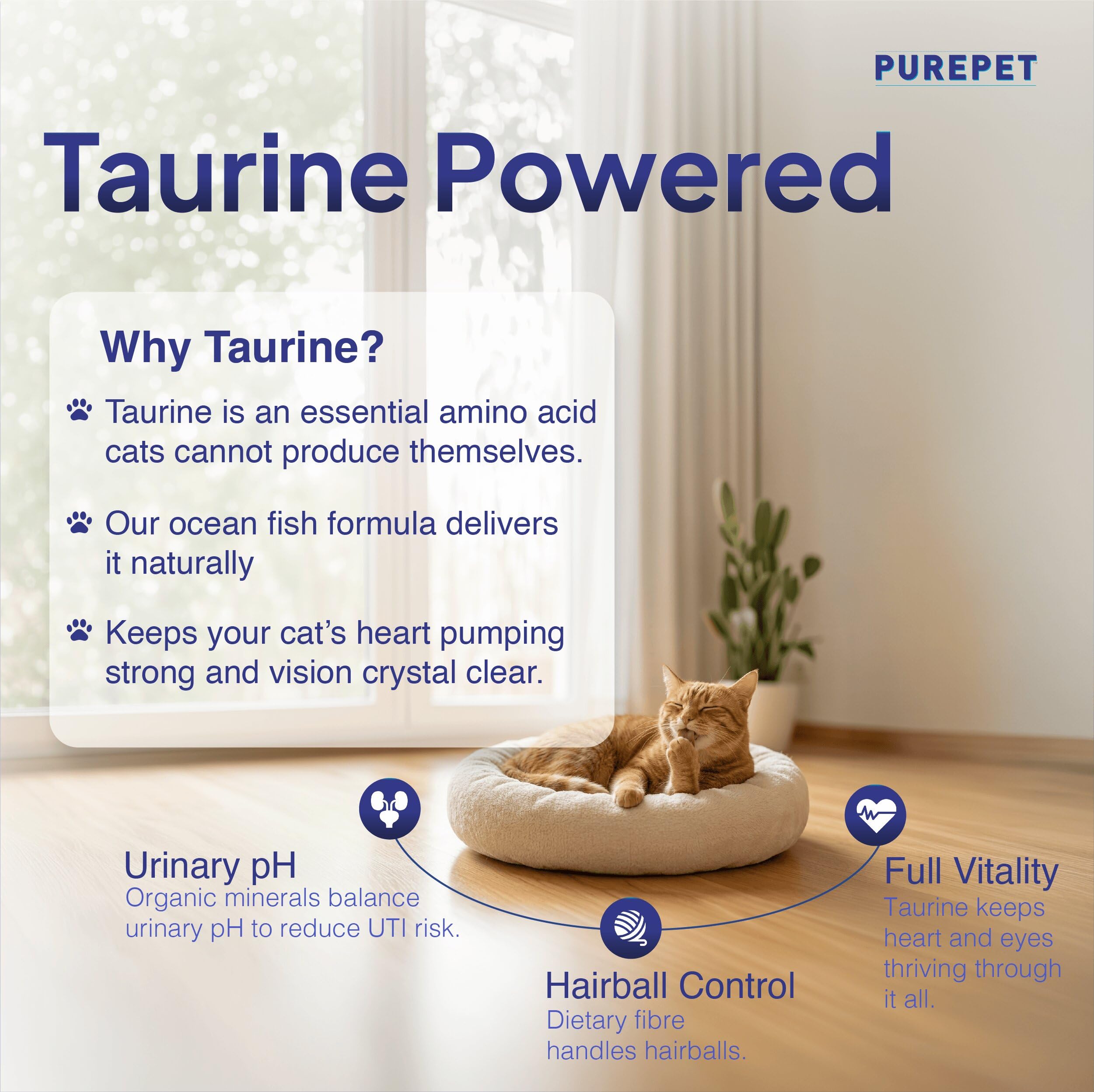 Purepet Adult Dry Cat Food 6kg | Ocean Fish Flavour | Taurine for Heart Health | Skin & Coat Care | Urinary pH Control | Hairball Protection 4