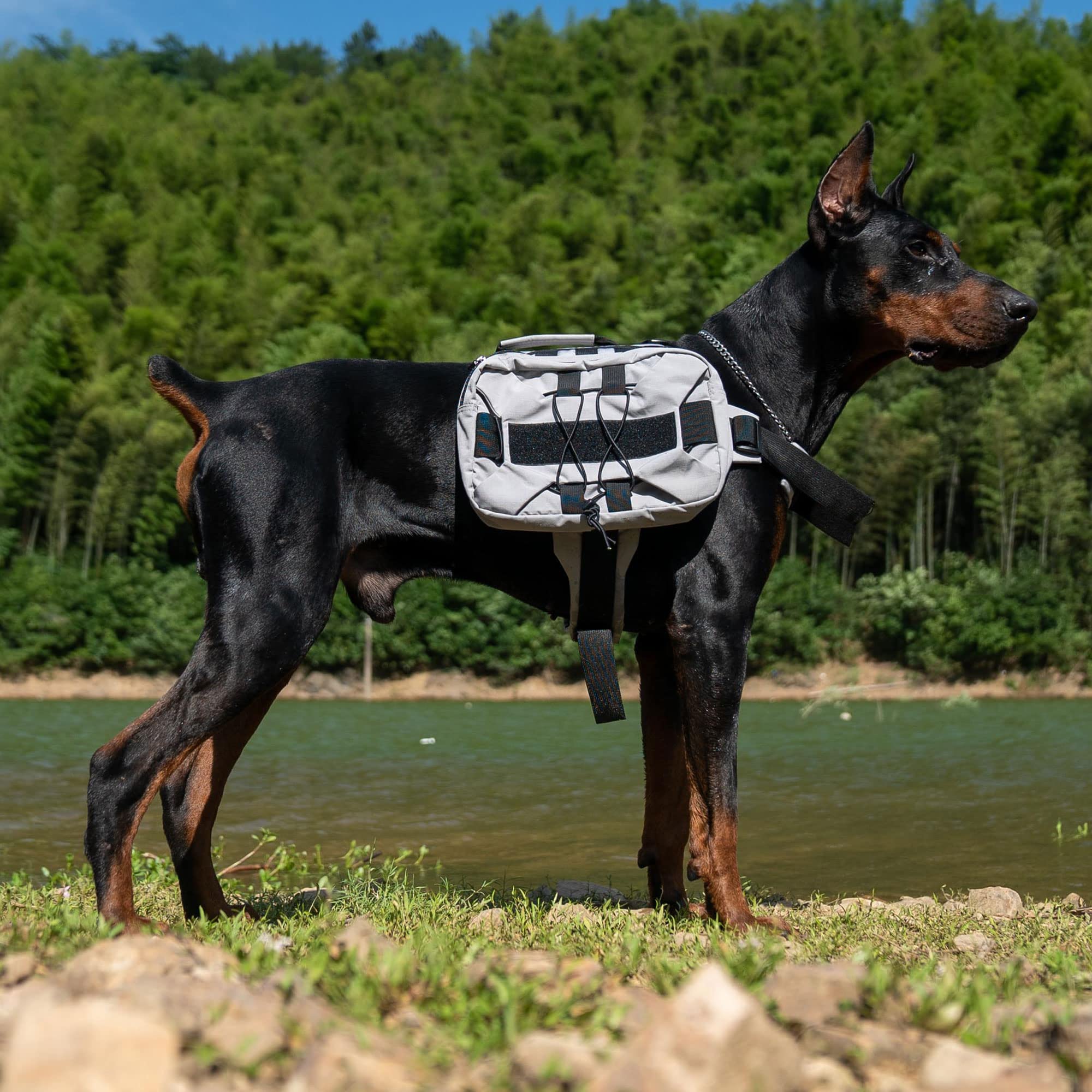 Lovelonglong Großer Hunderucksack, Outdoor-Jagd-Satteltasche mit Seitentaschen für kleine, mittelgroße und große Hunde, verstellbare taktische Hunde-Packung für Wandern, Reisen, Camping, Training