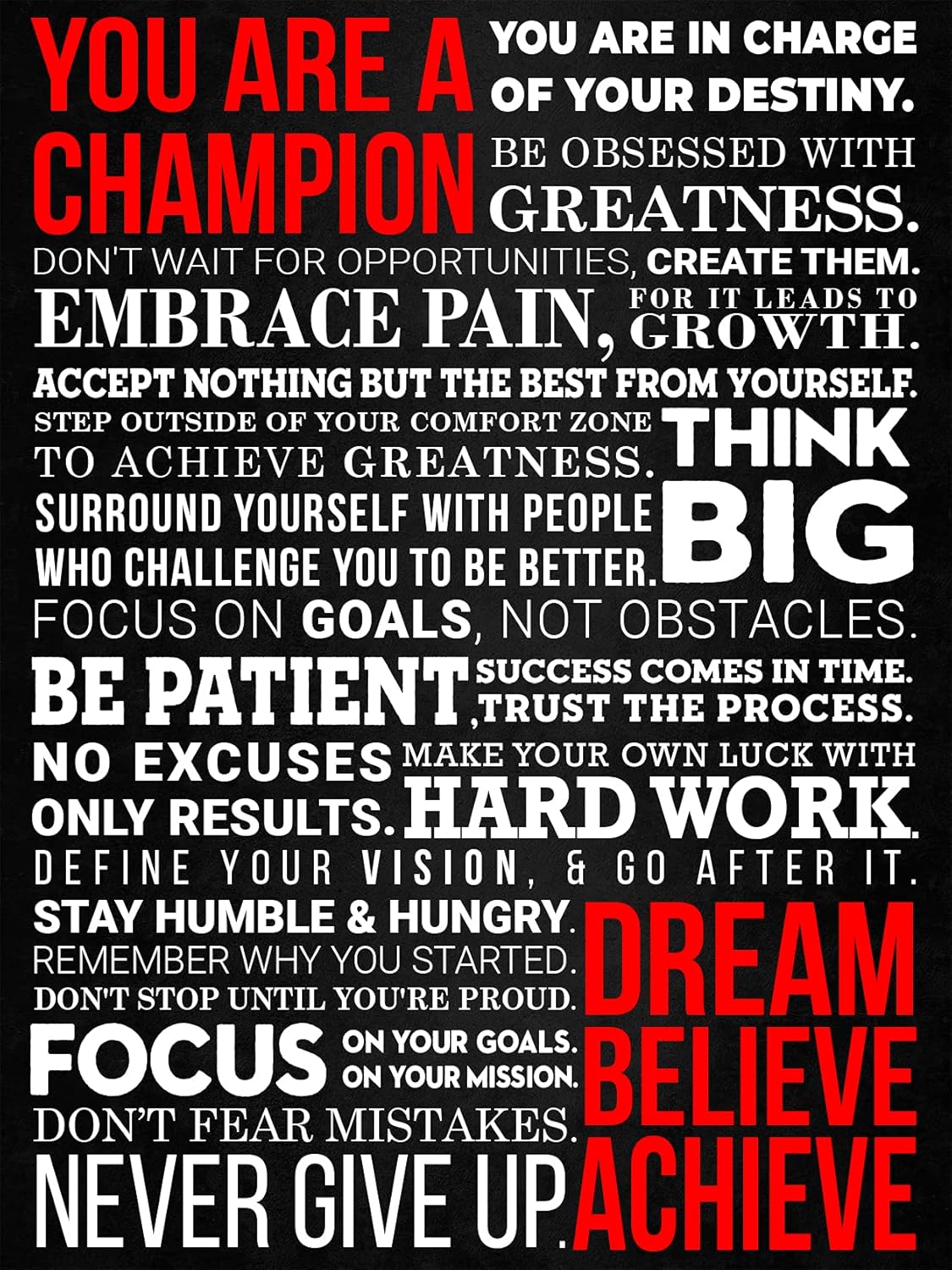 A Champion's Mantra Motivational Poster - Sized 12 x 16 Inch - Inspirational Wall Art for Guys, Teens, Entrepreneurs, Working Out