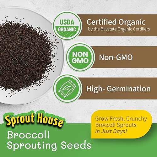 Miniatura 4 de Semillas para sembrar de brócoli The Sprout House, orgánicas certificadas, no transgénicas, 1 libra
