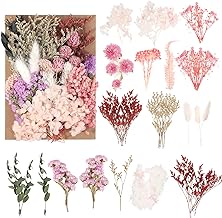 Natural Dried Flowers & Dried Petals - Colorful Dried Flowers for Arts and Crafts, Ideal for Resin, Candles, Jewellery & Decoration with Dried Flower, INCL. Small Various Shapes.