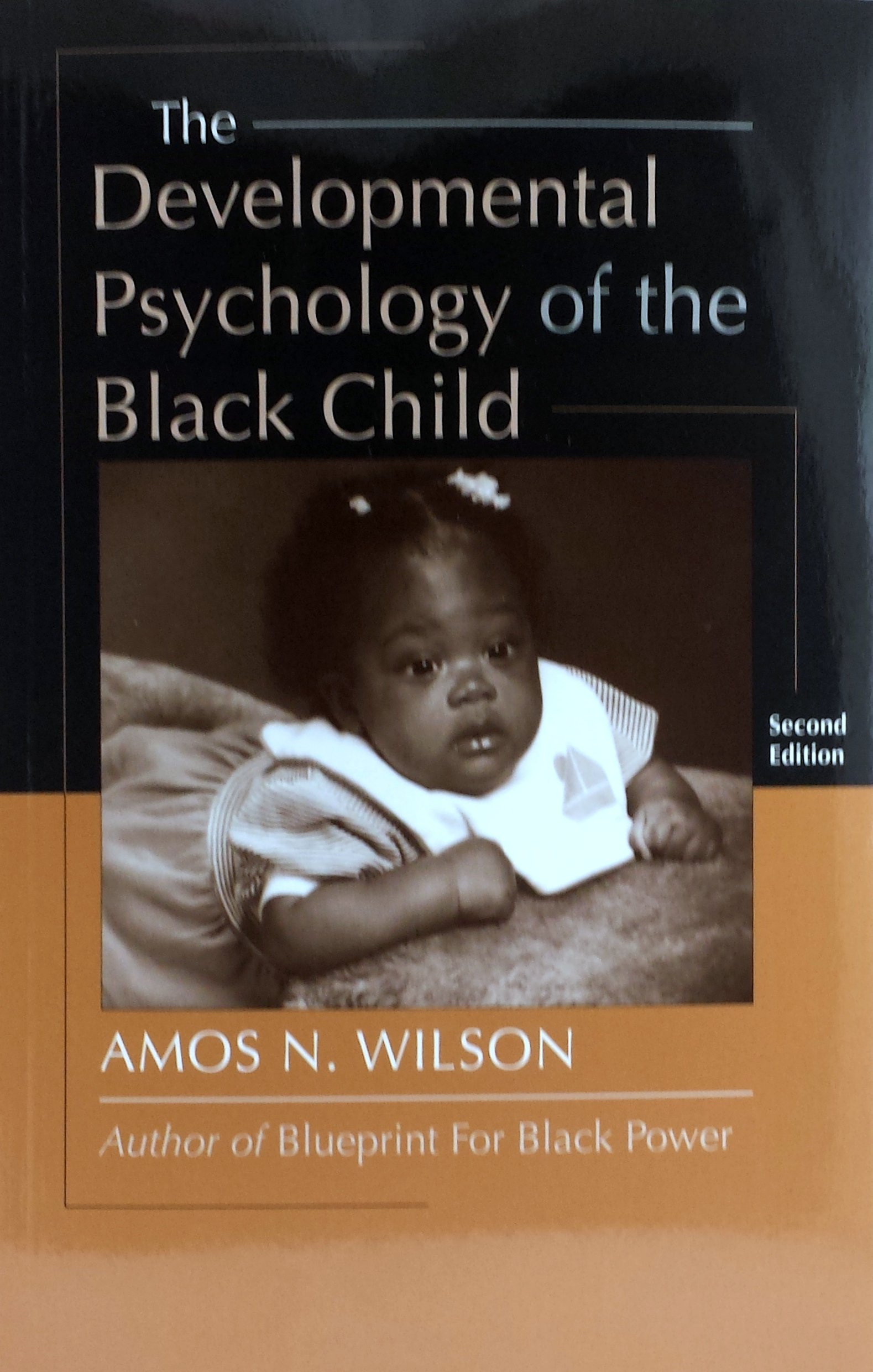 Developmental Psychology of the Black Child Paperback – January 1, 2009