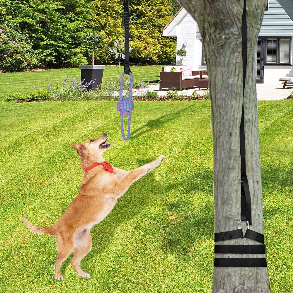 Retractable Interactive Dog Toy, Outdoor Bungee Hanging Exercise Training Tug of War Aggressive Chewer Rope Toys, Large Medium Dogs Professional Durable Bite Training Pull Exercise Solo Play, Black