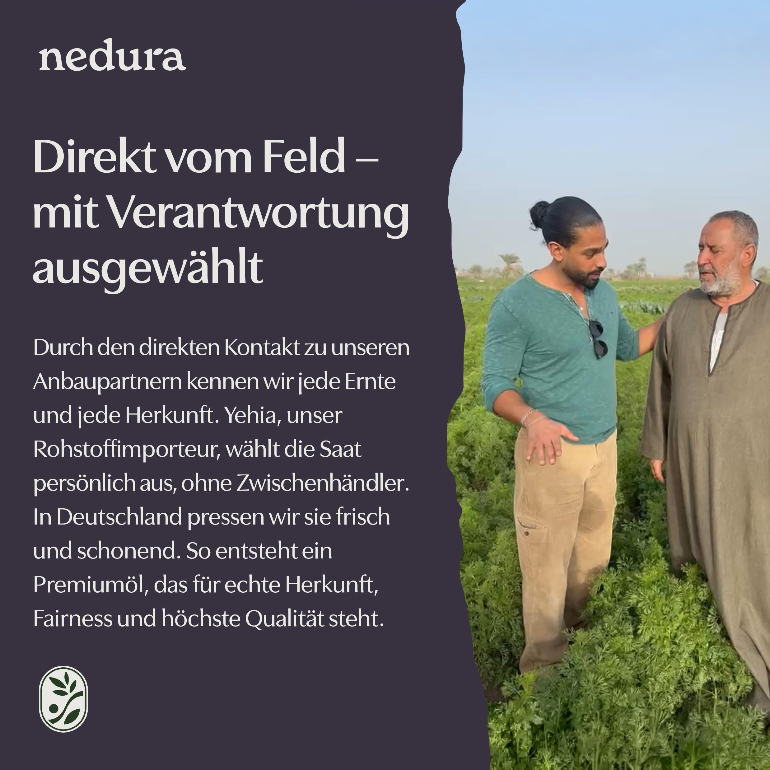 nedura® Schwarzkümmelöl Kapseln extra aktiv - 90 Stück in veganer Kapsel - Schwarzkümmel mit sehr hohem Thymochinongehalt aus Äthiopien - in eigener Deutscher Manufaktur kaltgepresst
