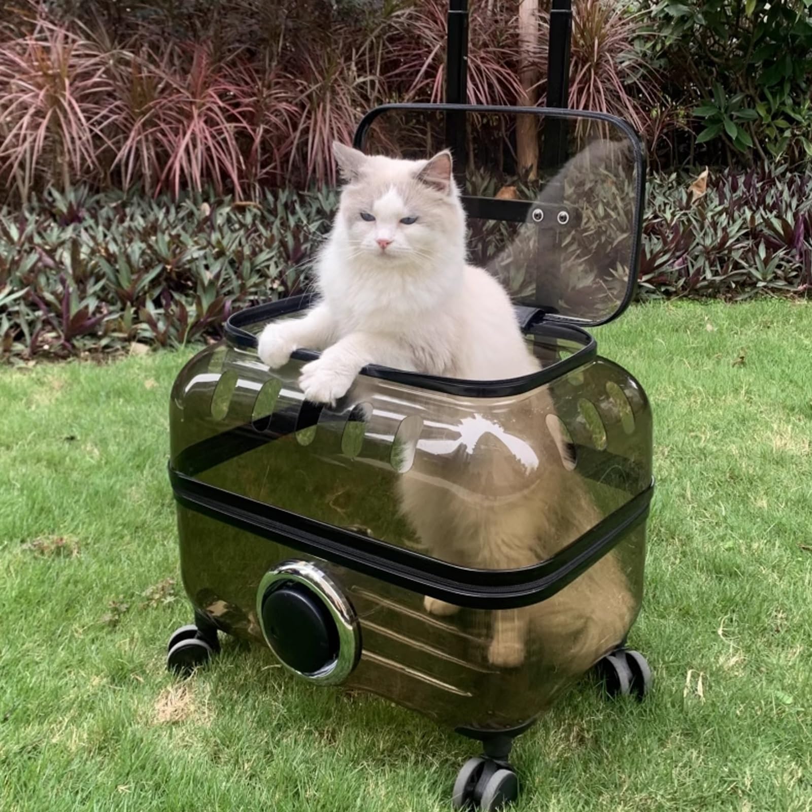 Transportin Gato con Ruedas y Varilla Telescópica, Transpirable y Impermeable, Maleta para Mascotas para Gatos y Perros Pequeños(Brown,S)