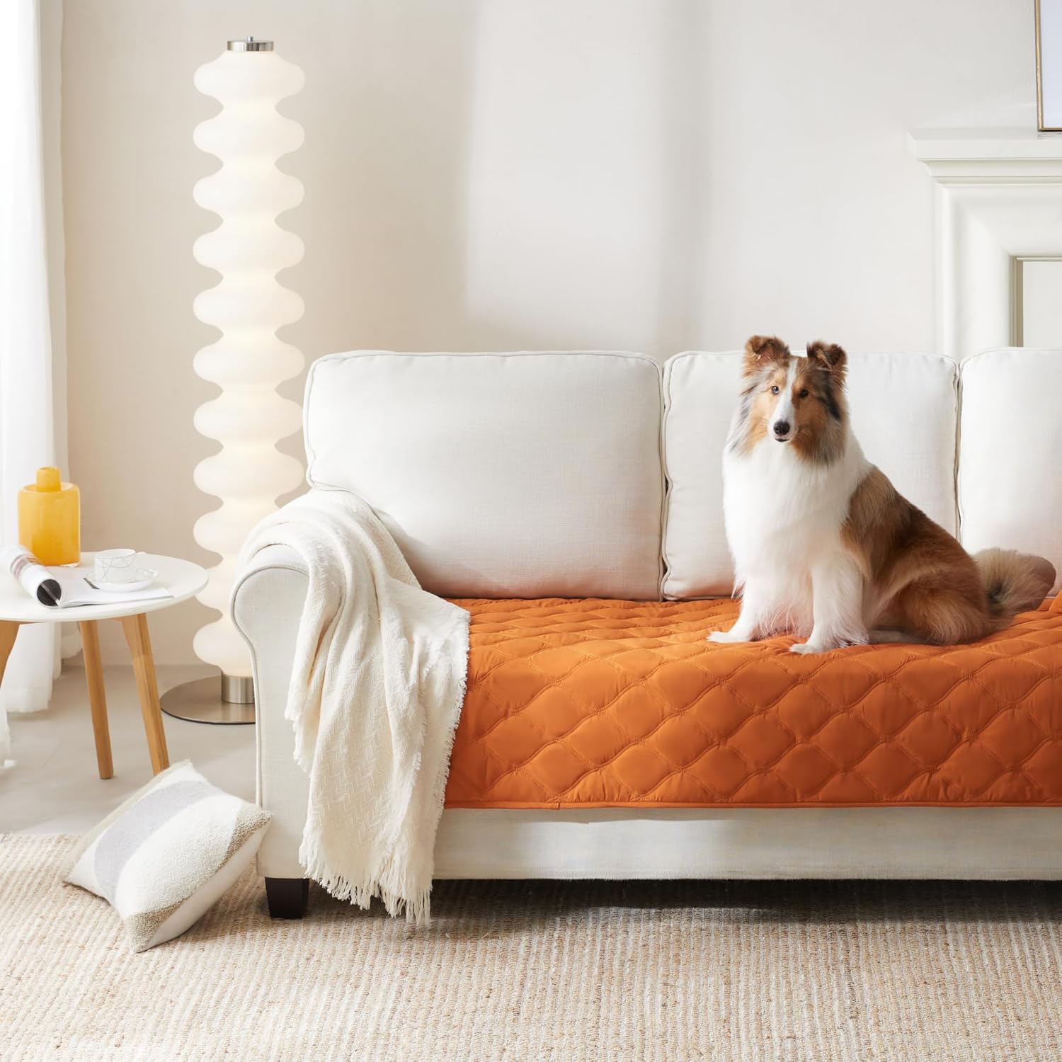 Allisandro Waterproof Pet Couch Protector, Dog Hair