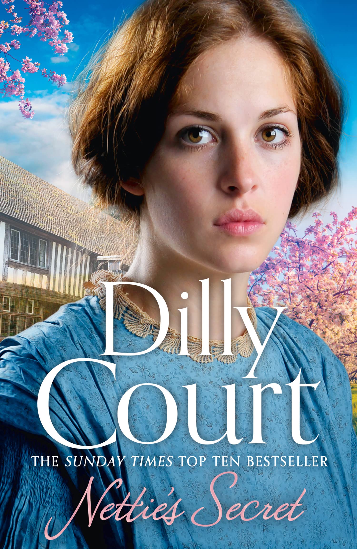 Nettie’s Secret: A heart-warming novel from the Sunday Times bestseller