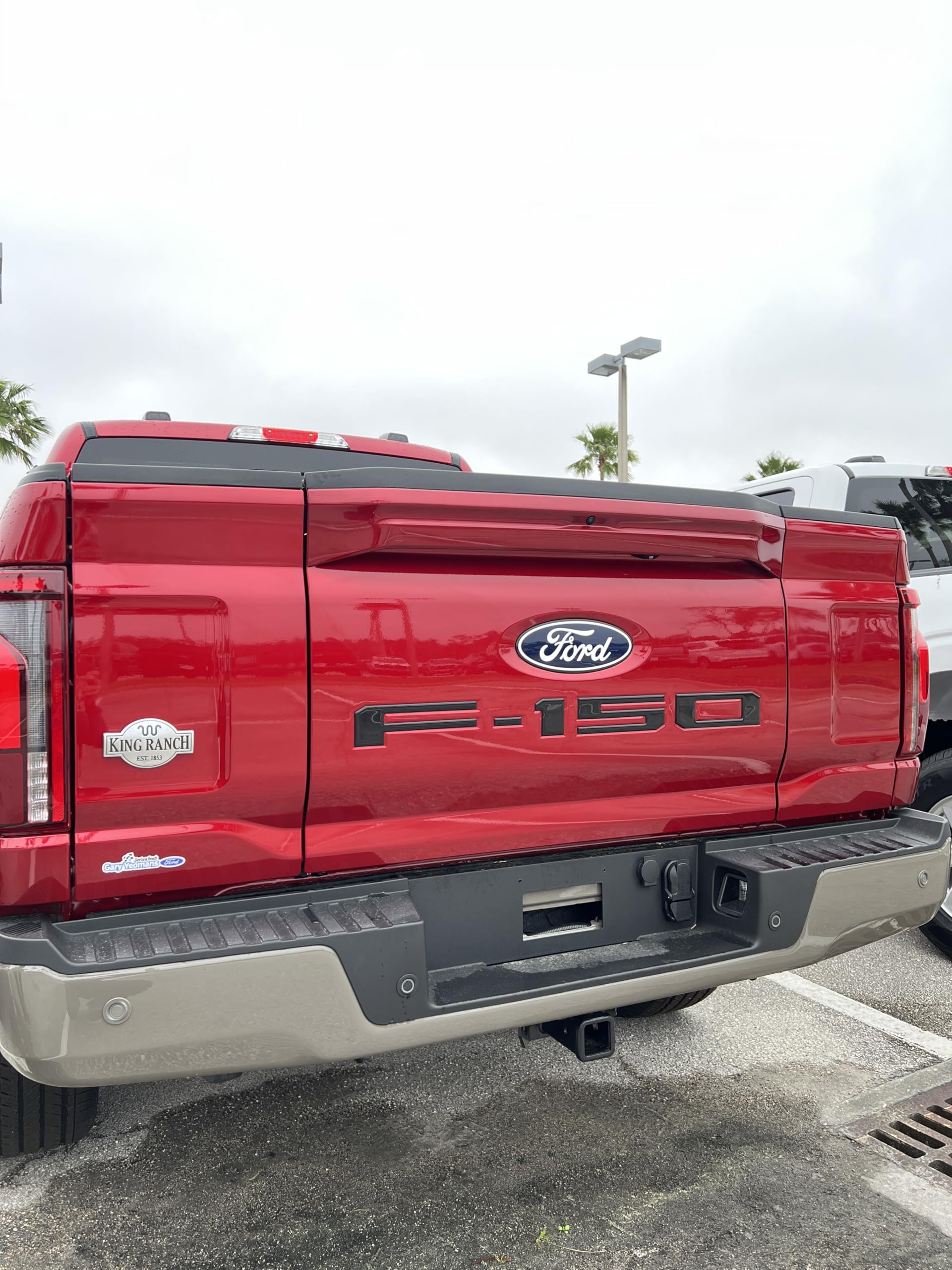 F-150 Tailgate Emblem Letter Inserts - Compatible with 2021-2026 F-150