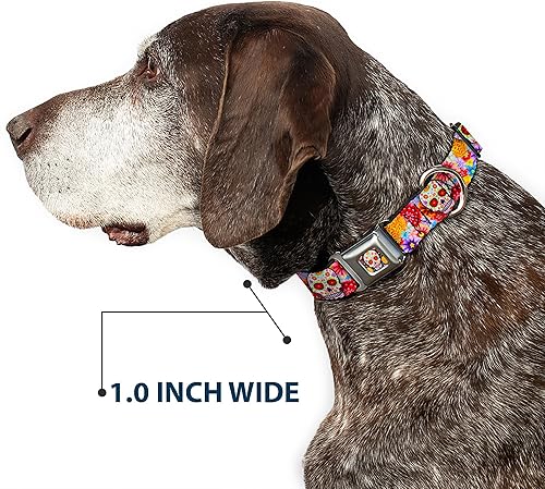 Miniatura 6 de Collar de perro hebilla de cinturón de seguridad Sugar Skull Starburst blanco multicolor 13 a 18 pulgadas 1.5 pulgadas de ancho