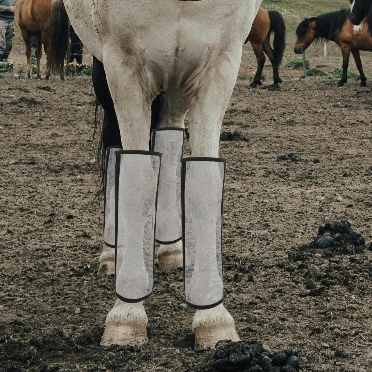 Besportble 4 PièCes Anti-Mouches pour Chevaux Maille Respirante Protection Efficace des Jambes pour Soins ÉQuins Et CompéTitions ÉQuestres