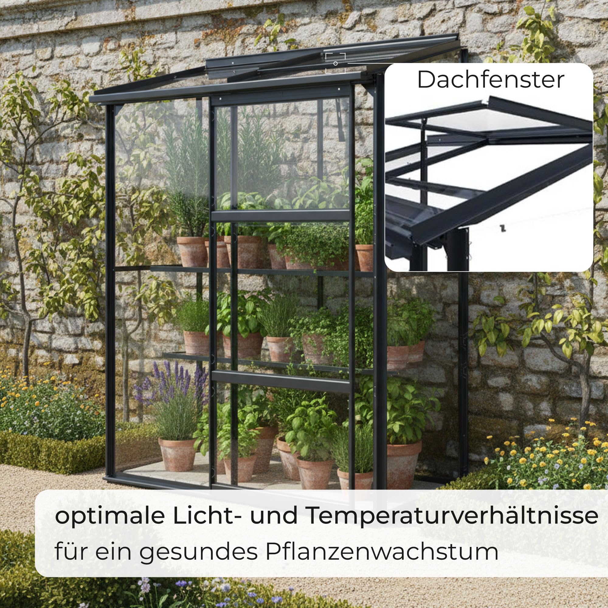 Gewächshaus Glas 0,9 m² Aluminium Rahmen mit Schiebetür | Premium Wand-Gewächshaus schwarz Temperaturkontrolle Aufstellfenster | Tomaten- und Anzuchtgewächshaus 130 x 68 x 173 cm (B x T x H)