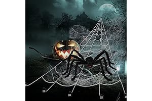 Frighteningly Realistic Halloween Spider Web with Giant Tarantula