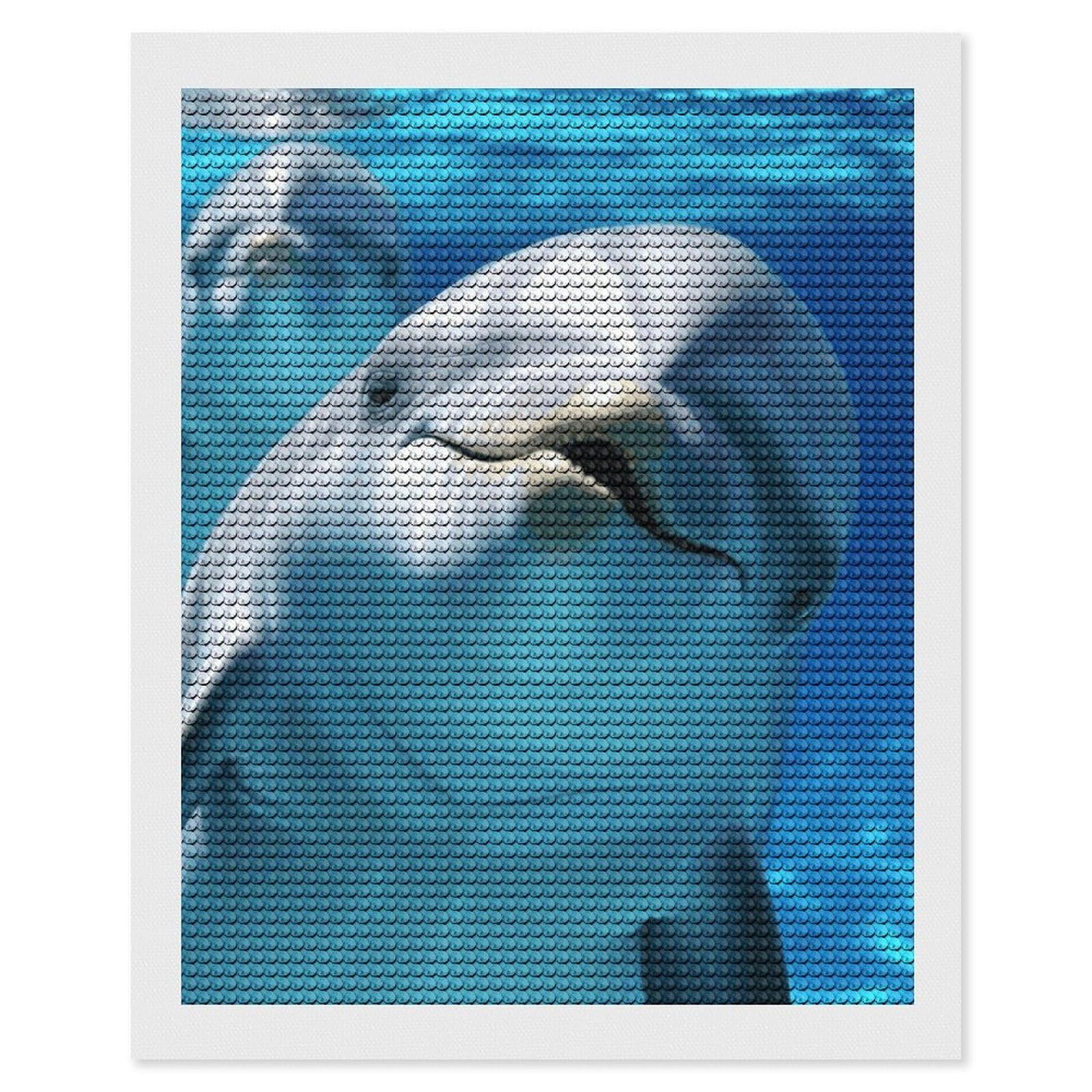 FekiLoot Dolphin with A Smile Diamond Art Kits for Adults, 5D Aurora Diamond Painting Kits for Beginners DIY Full Drill Dots Gem Art Paint Crafts for Home Wall Decor 16"x20"
