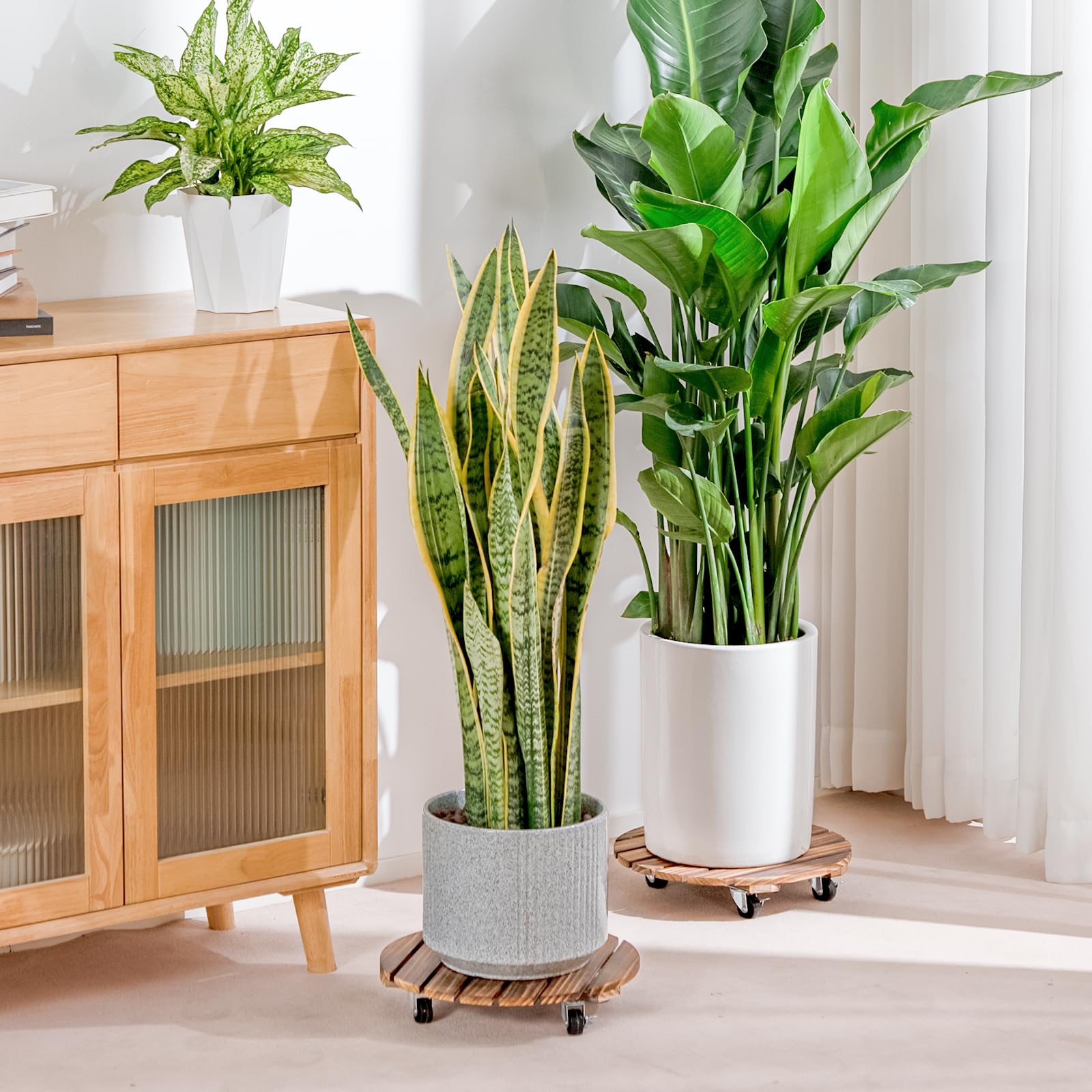 Bamworld Porte Plante à Roulettes, Lot de 2 Plateaux Roulants 30,5 cm, Capacité 100 KG, Marron Foncé