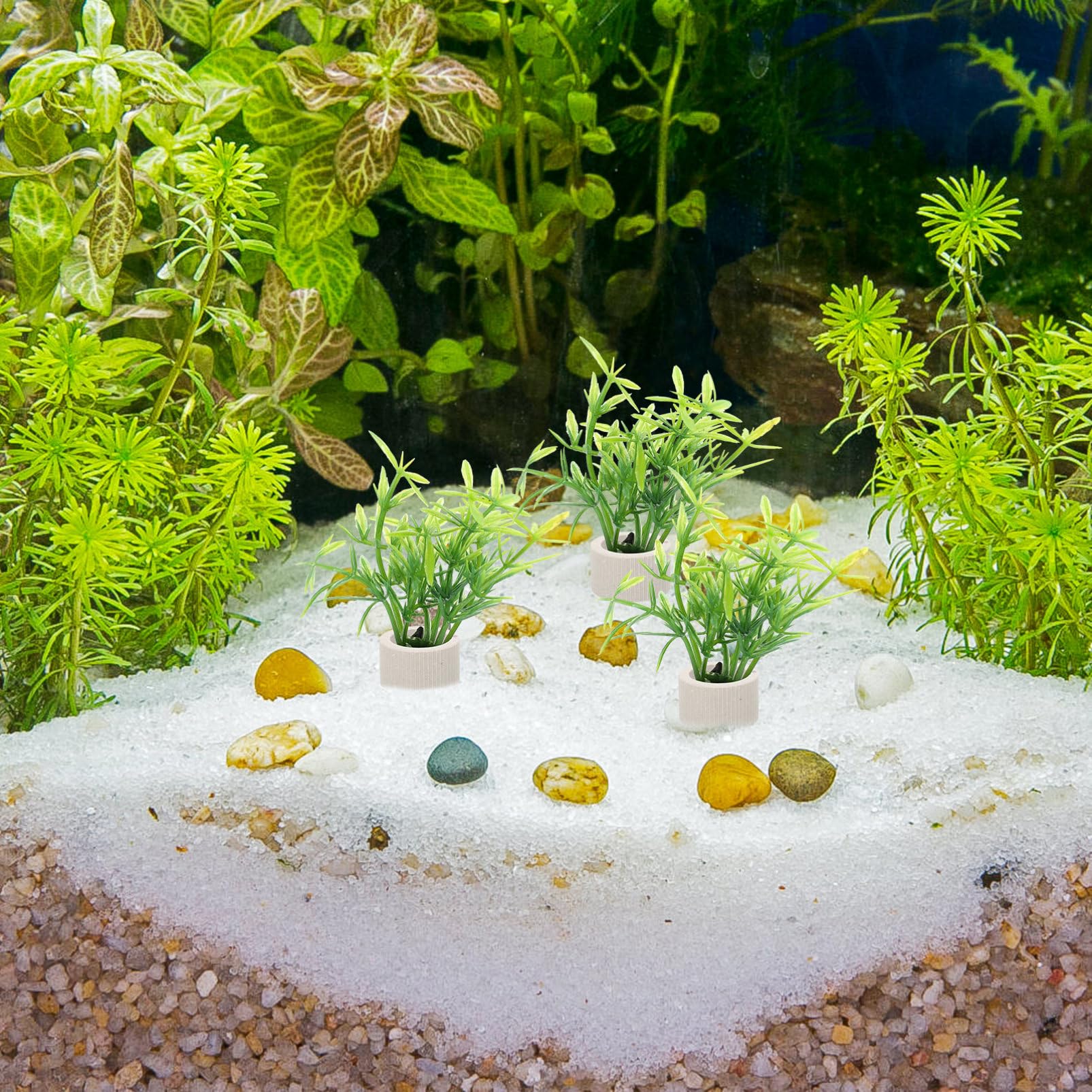 Kisangel 3 Juegos 3 Juegos De Calentador De Taza De Plantación Acuática De Aire USB Tanque De Terrario Portátil Soporte De Agua Artificial Plantador De Acuario 10 Uds * 3