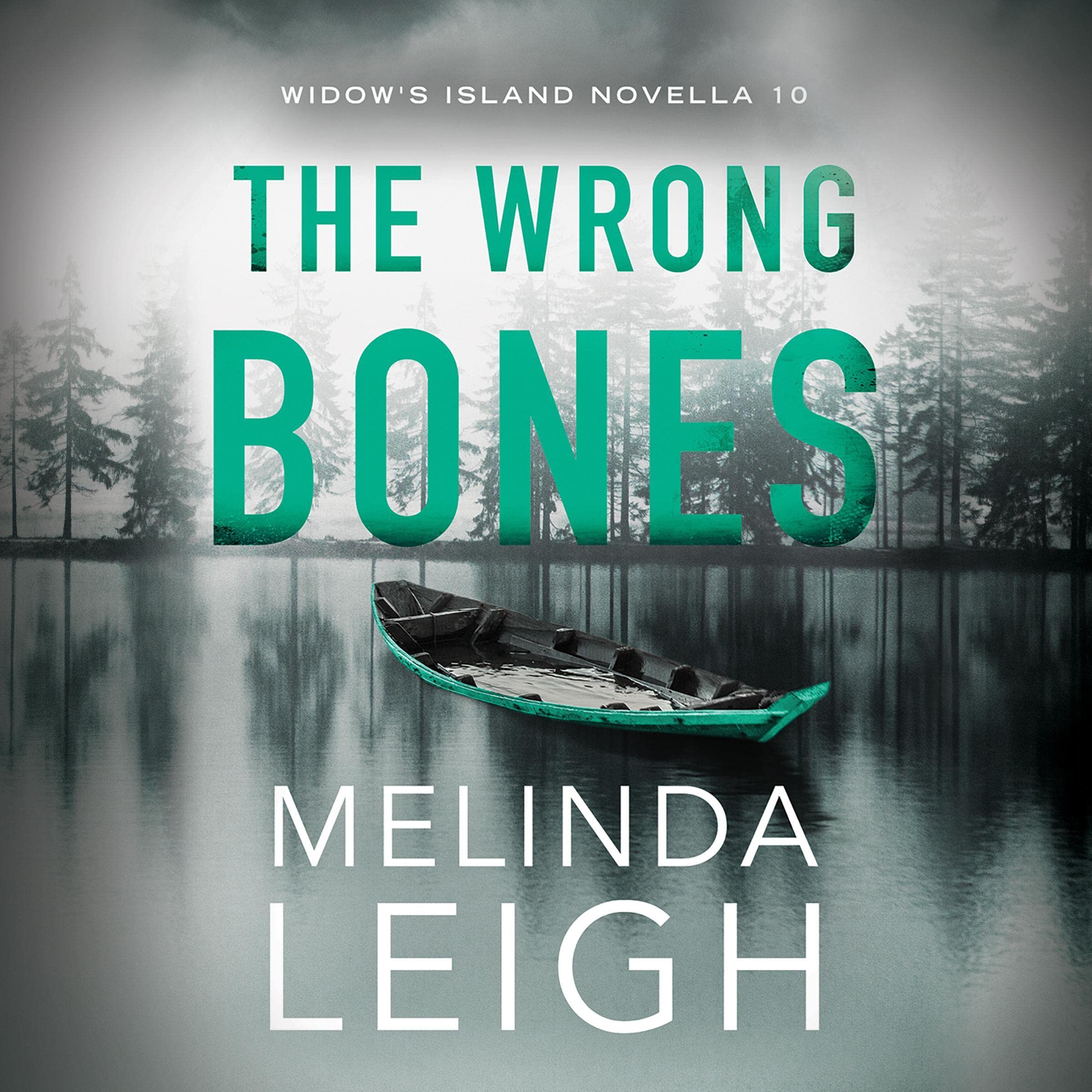 Cover art for The Wrong Bones