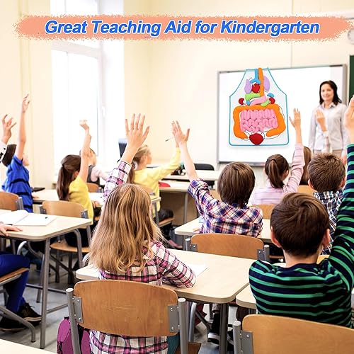 Miniatura 5 de KAKIBLIN Delantal de órgano 3D, delantal de anatomía, cuerpo humano, conciencia, juguete educativo para el hogar, preescolar, ayuda docente,
