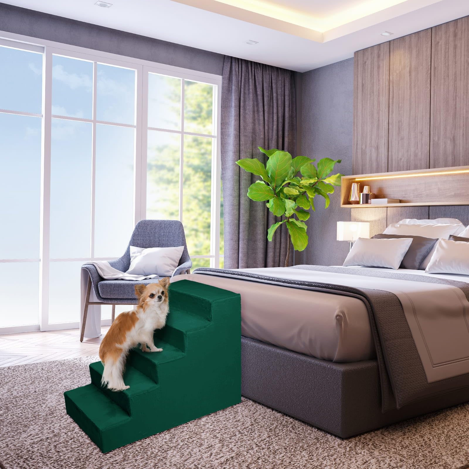 MG Design Scaletta per Cani 5 Gradini in Verde – telaio in legno stabile, salita delicata per divano e letto, leggera e facile da spostare, per cani e gatti