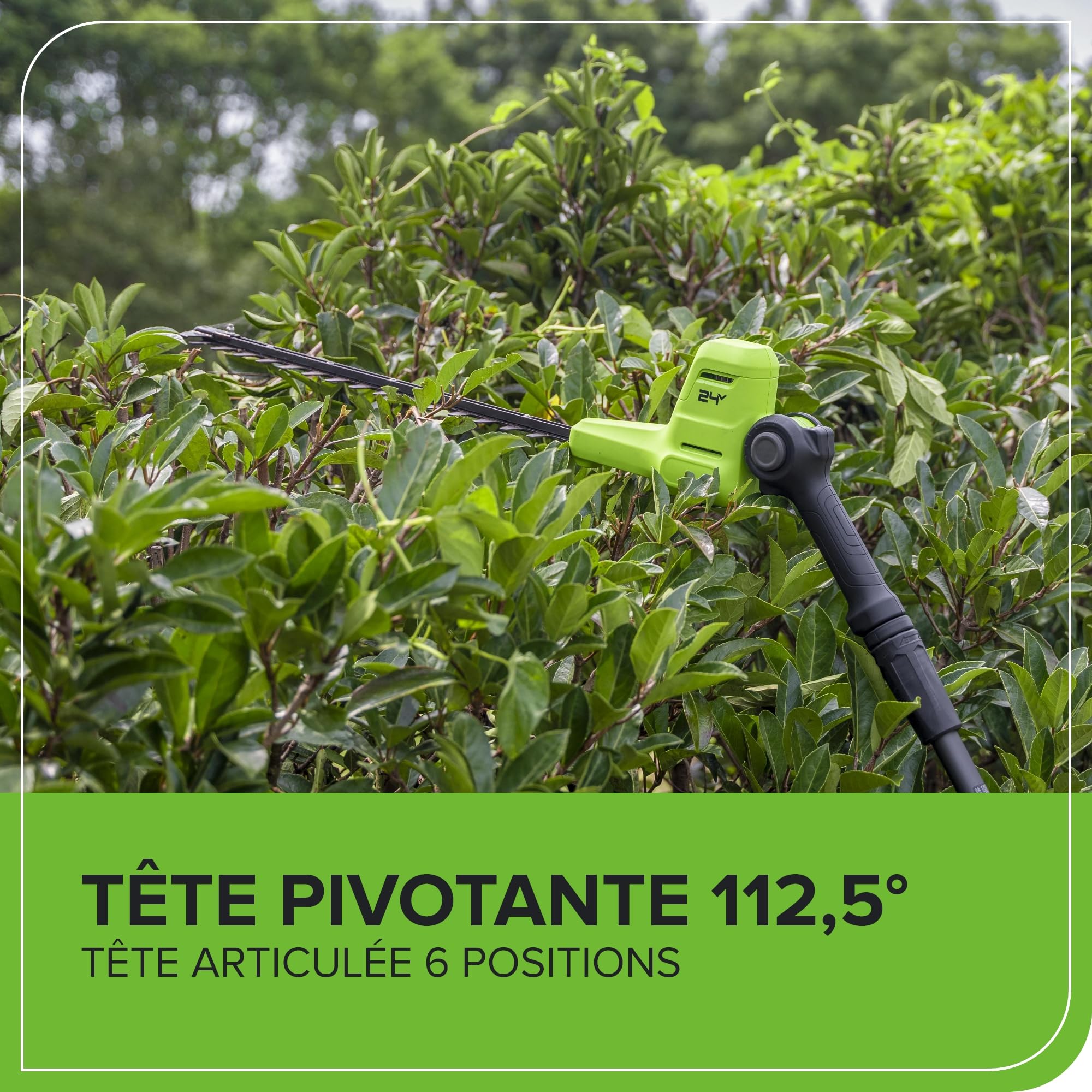 Greenworks 24V Cortasetos Pértiga a Batería con Eje Divisible, Cuchillas Doble Acción 51 cm, Cortes 28 mm, Pivote Cabezal de 112.5°, 3200 SPM SIN Batería ni Cargador PH24B01-01