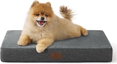 BEDSURE orthopädisches Hundekissen kleine Hunde - 61x41x8cm waschbares Hundebett mit 2 in 1 Memoryschaum, kuscheliges Hundematte Hundematratze, dunkelgrau