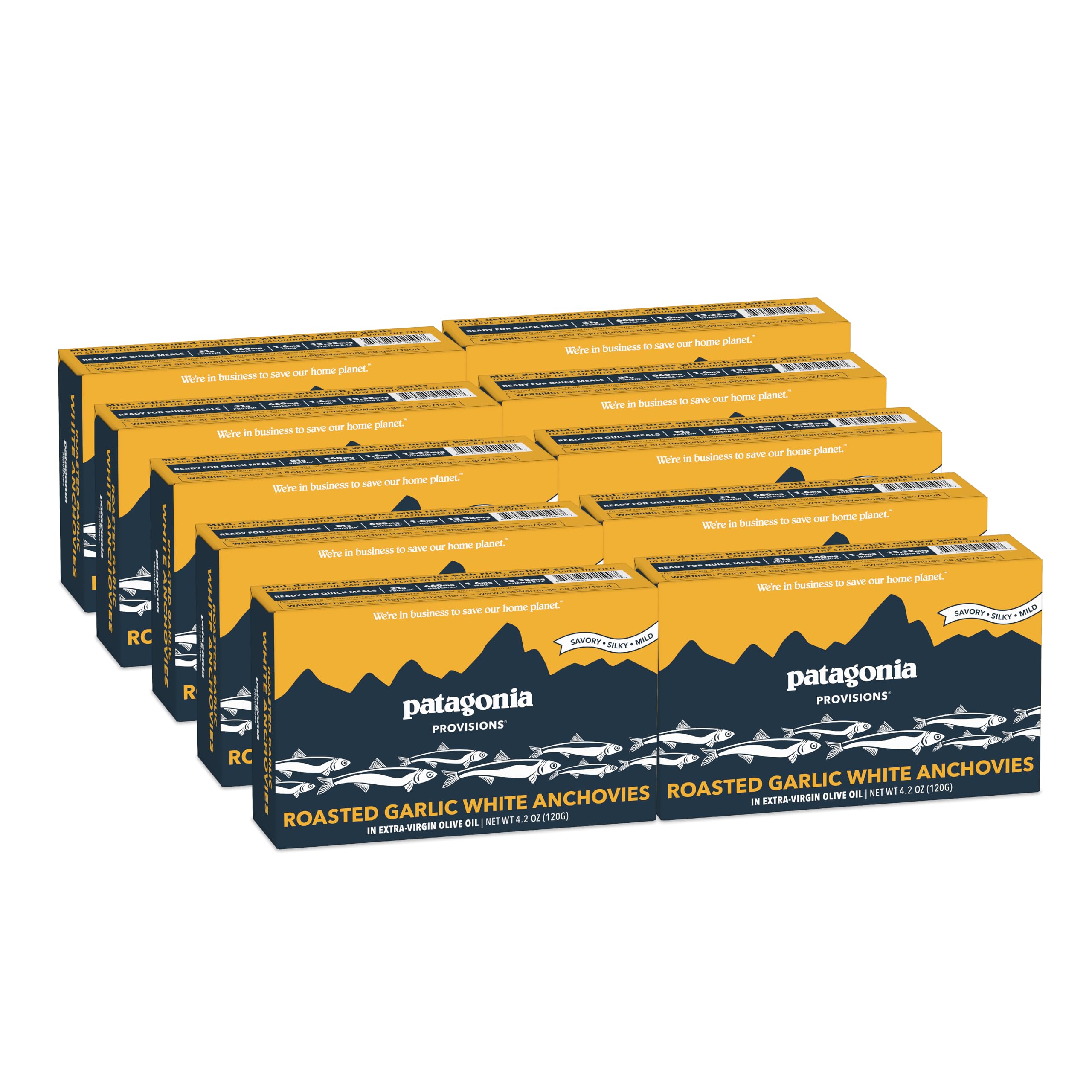 Patagonia Provisions Roasted Garlic White Anchovies | Responsibly Sourced in Spain | 21g Protein & Gluten Free | 4.2 Oz (Pack of 10)