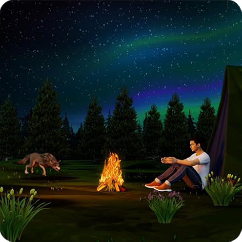 campfire 3D Game