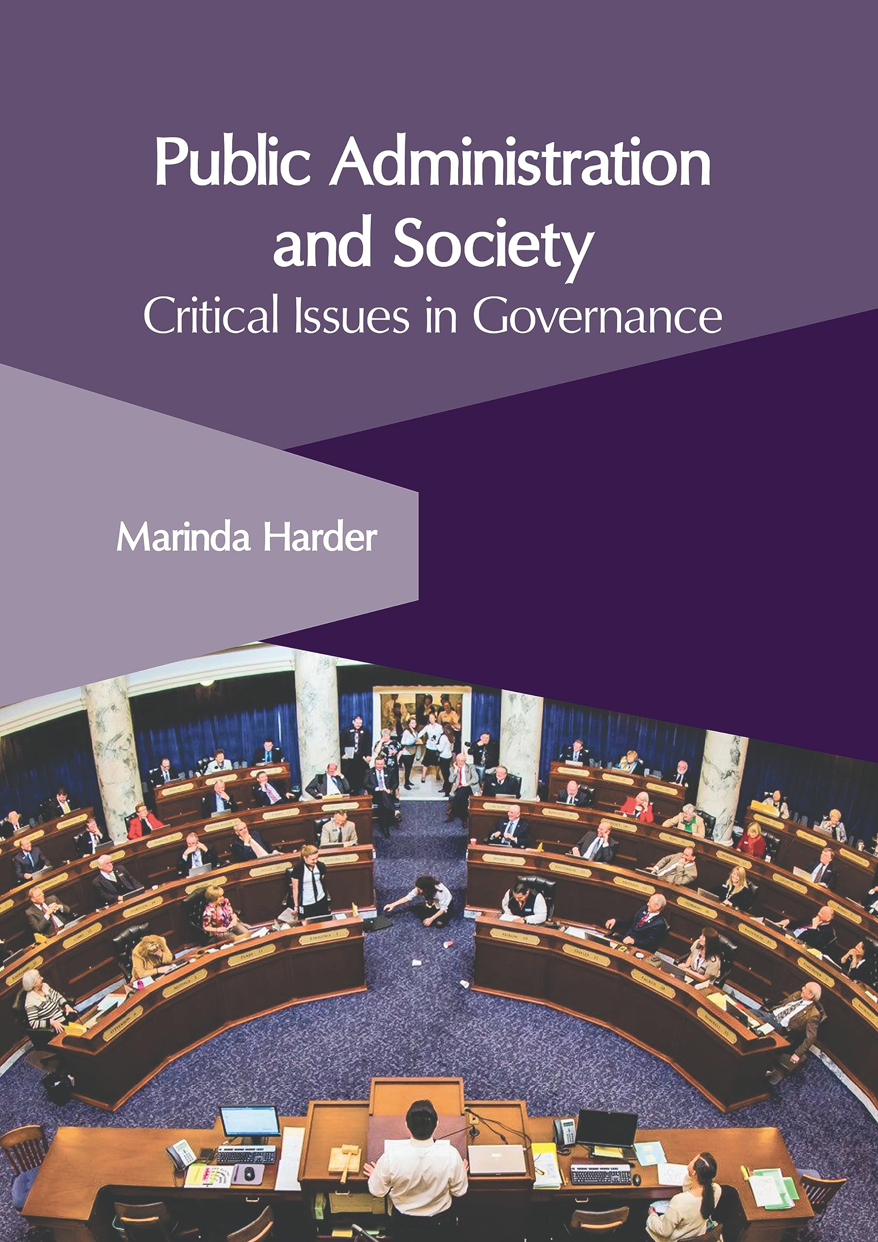 Public Administration and Society: Critical Issues in Governance ...