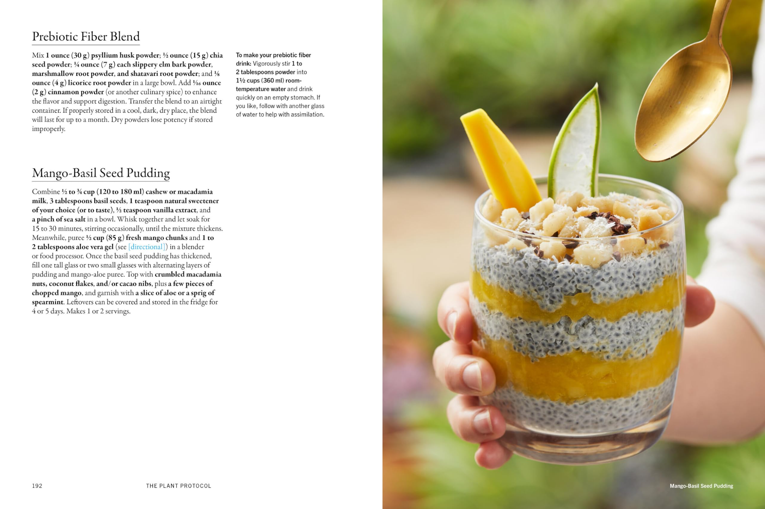 The Plant Medicine Protocol: Unlocking the Power of Plants for Optimal Health and Longevity