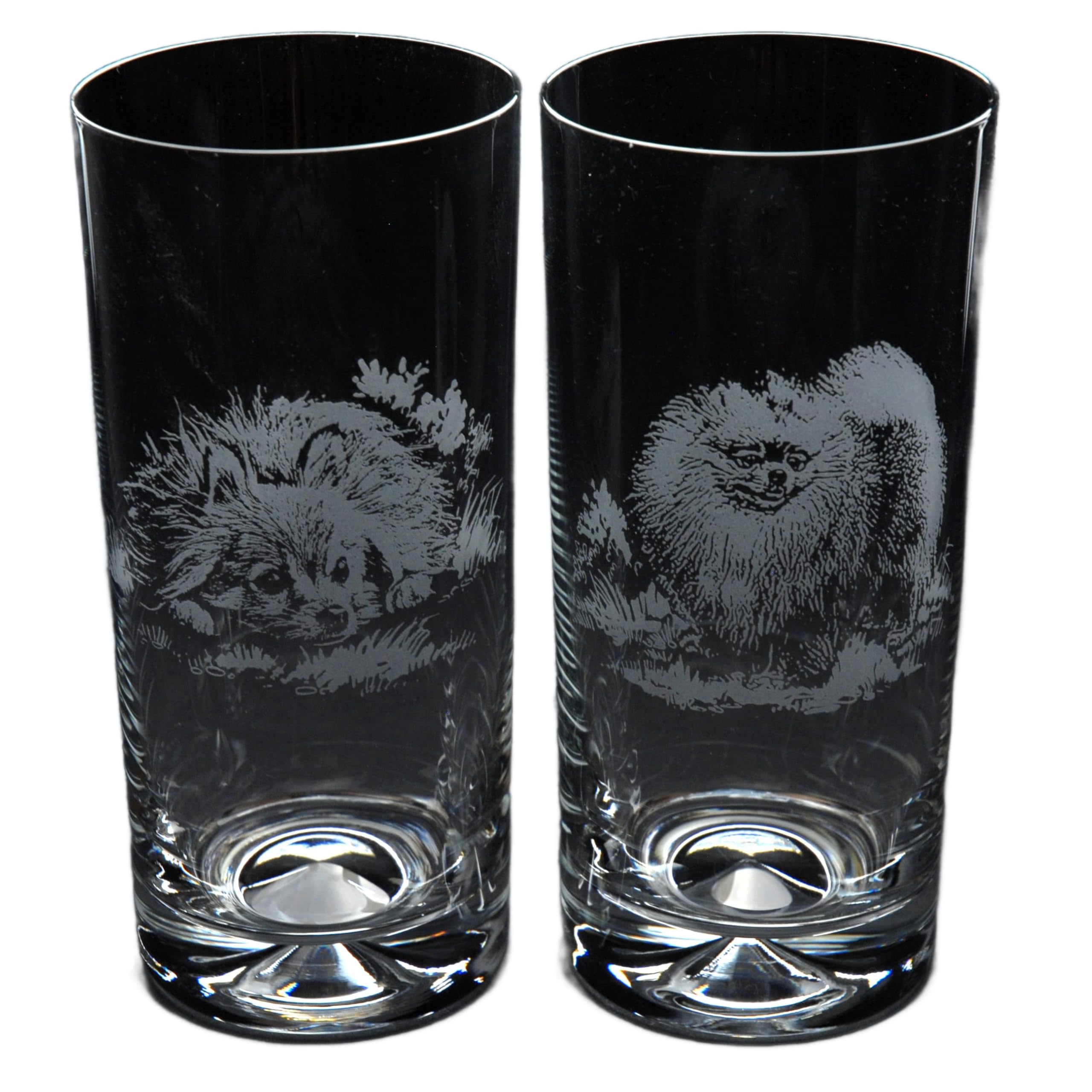 GLYPTIC Glass Art Pomeranian Dog Placement Hand Etched/Engraved Highball Glass โ image 1