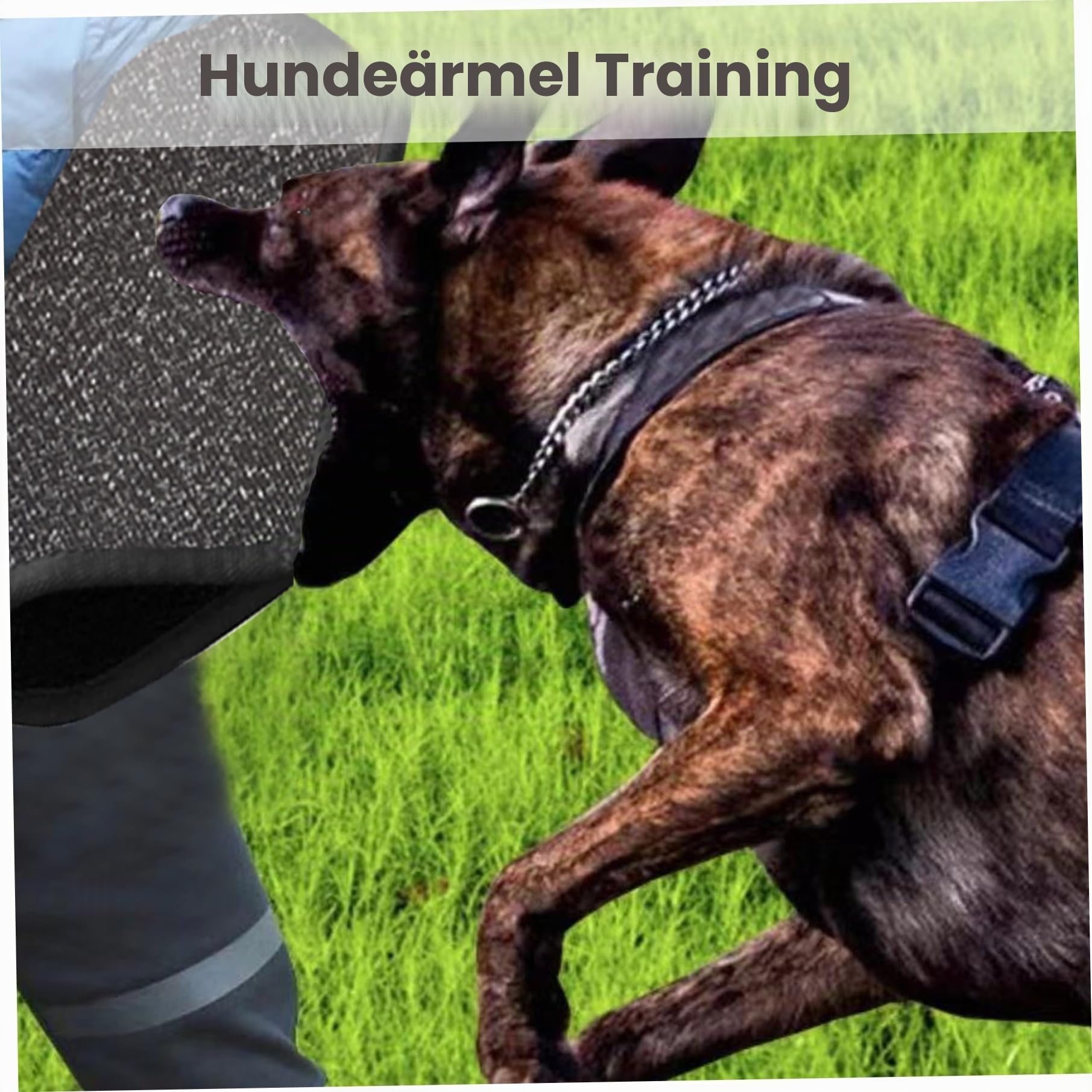 Hundetraining Ärmel Nylon Hundebiss Ärmel resistent räumlich rettend Hundetraining Armärmel Professionelle interaktive Bissschutzhülle für Hunde Training