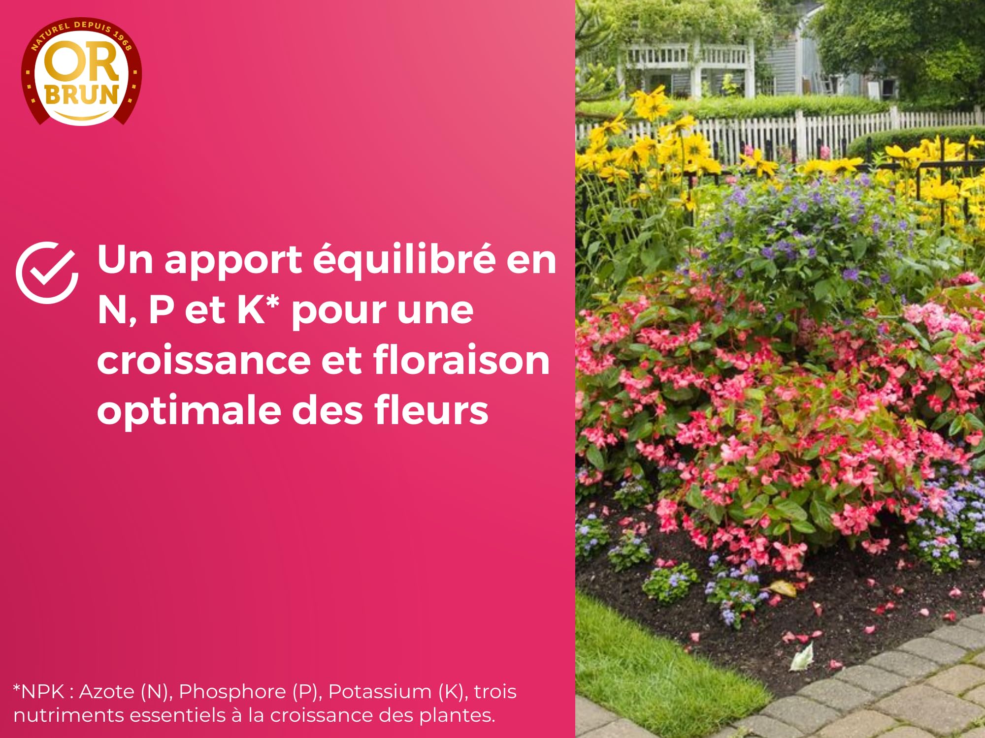 OR BRUN Engrais Fleurs - 250ml - Renforce Les Plantes & Améliore La Floraison - Fabriqué En France - Utilisable En Agriculture Biologique OBRECLFLEURS250