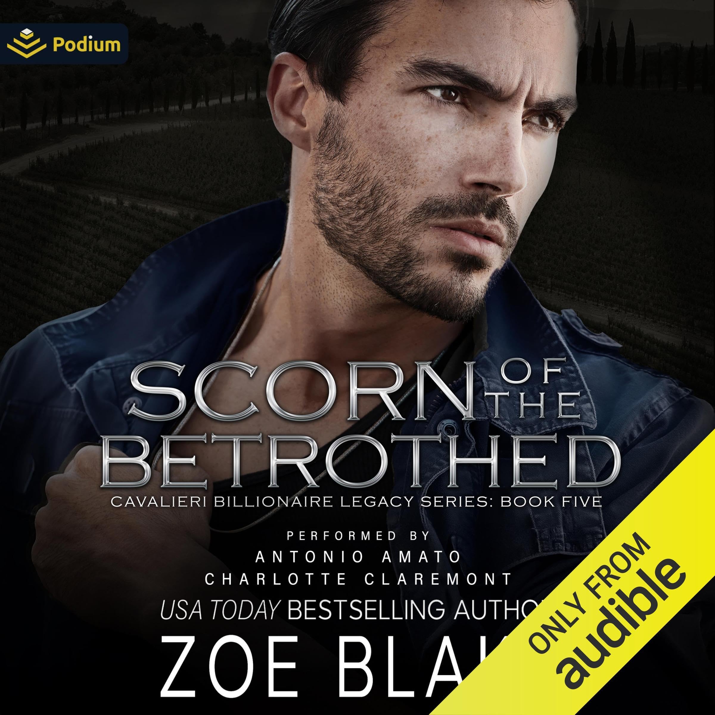 Cover art for Scorn of the Betrothed