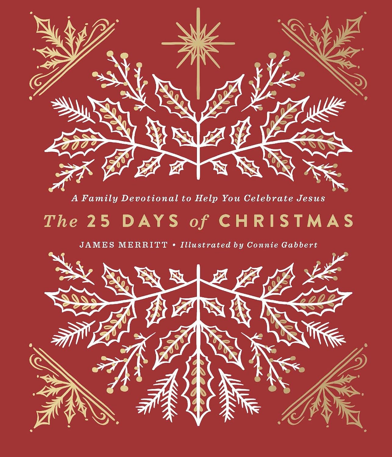 The 25 Days of Christmas A Family Devotional to Help