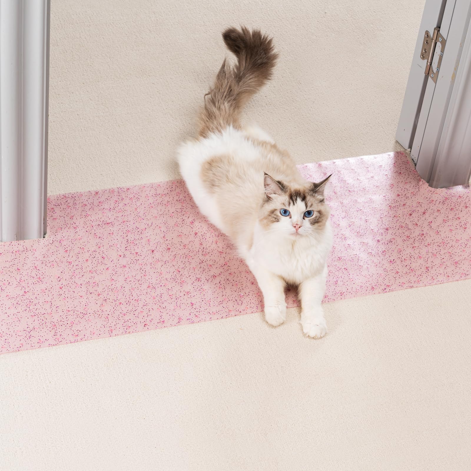 Uross Carpet Protector for Pets - Anti-Scratch Mat for Doorway, Easy to Cut Plastic Scratch Stopper, Cat Guard for Under Door, 3.6FT-Purple